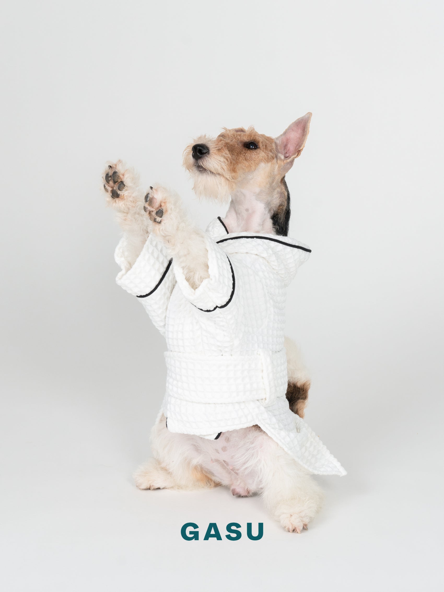 GASU Caresser / [Milk] Pet Bath Robe