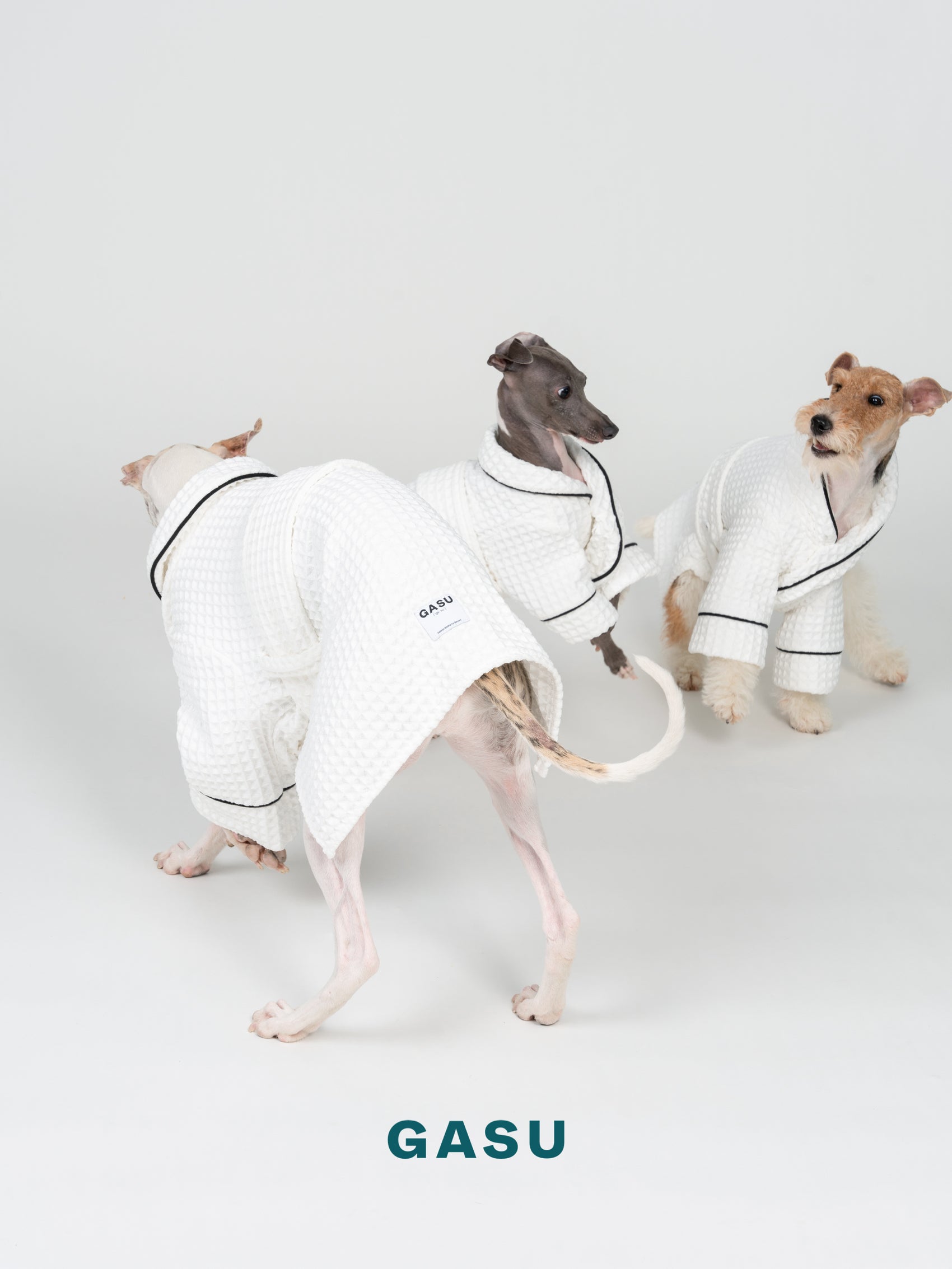 GASU Caresser / [Milk] Pet Bath Robe