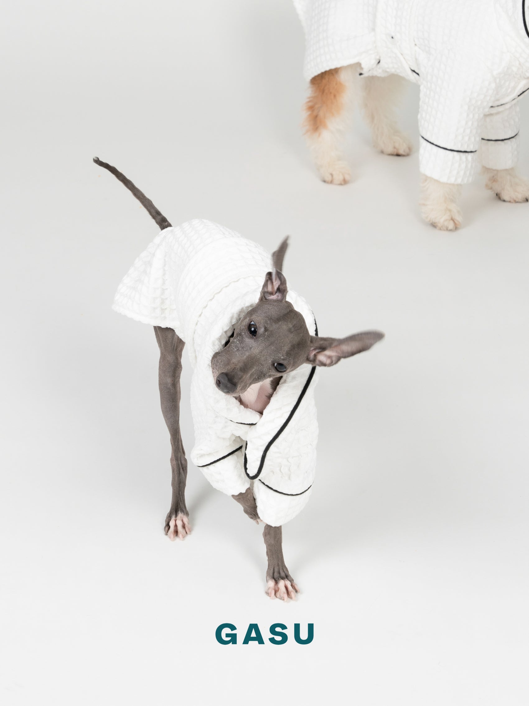 GASU Caresser / [Milk] Pet Bath Robe