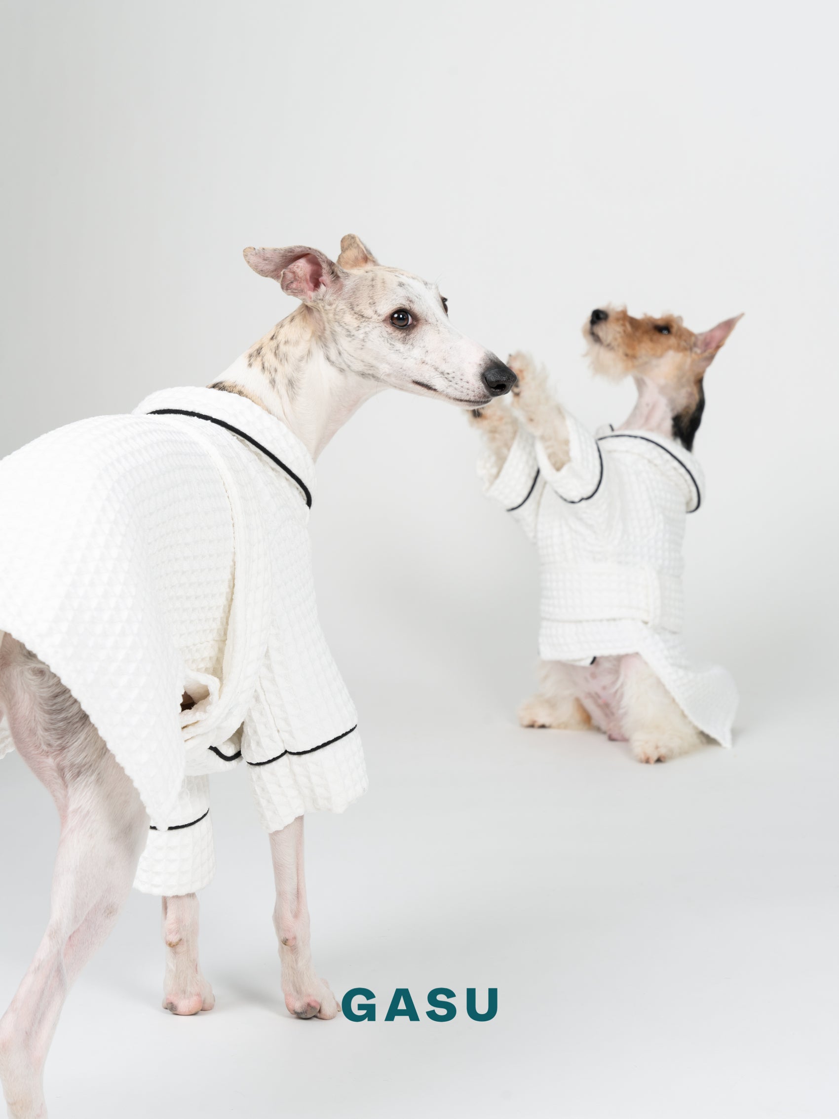 GASU Caresser / [Milk] Pet Bath Robe