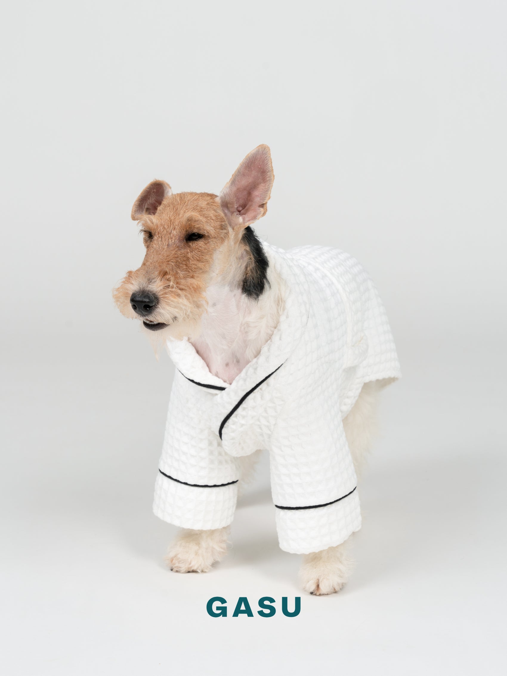 GASU Caresser / [Milk] Pet Bath Robe