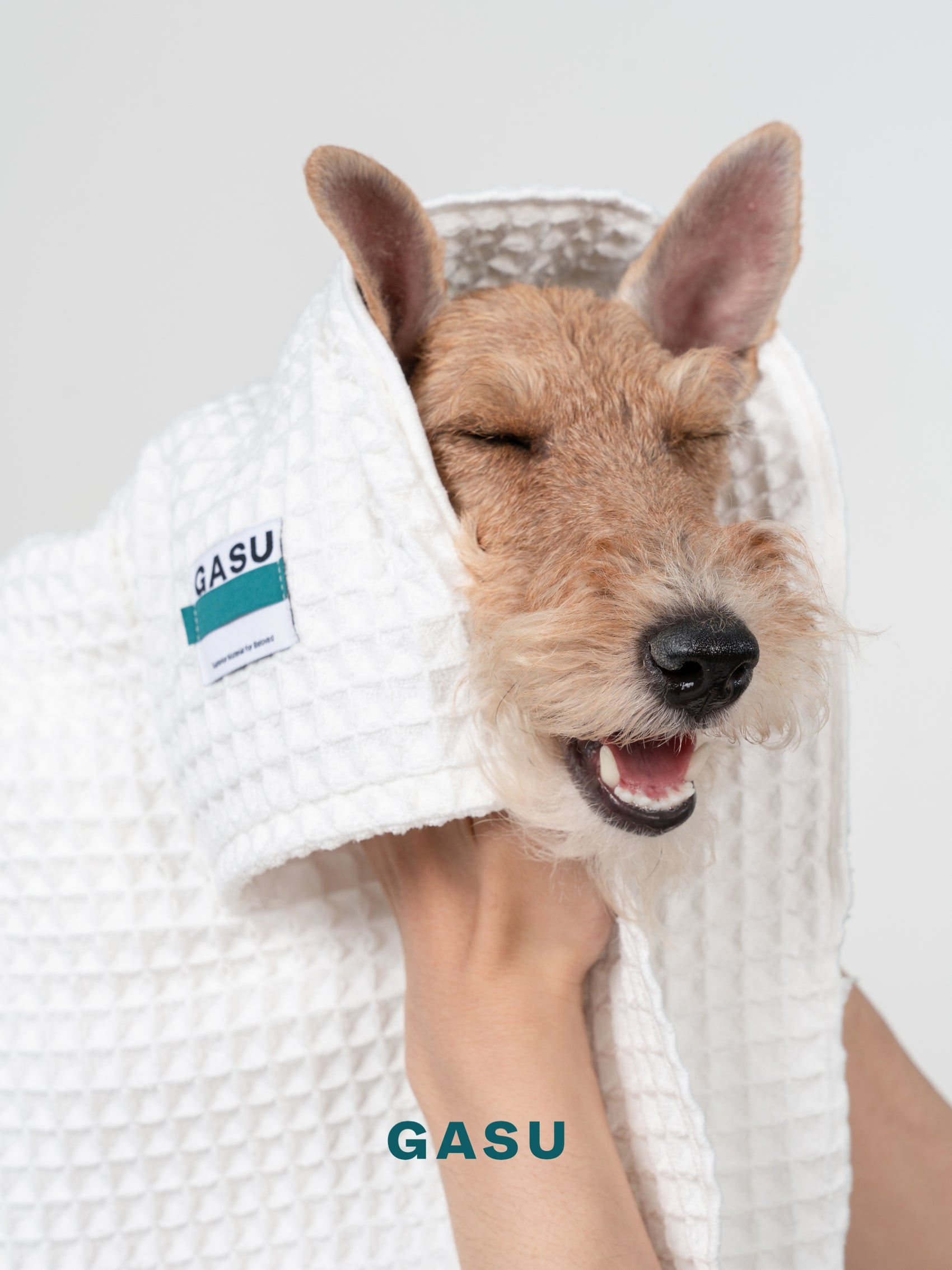 GASU Caresser / [Milk] Pet Bath Towel