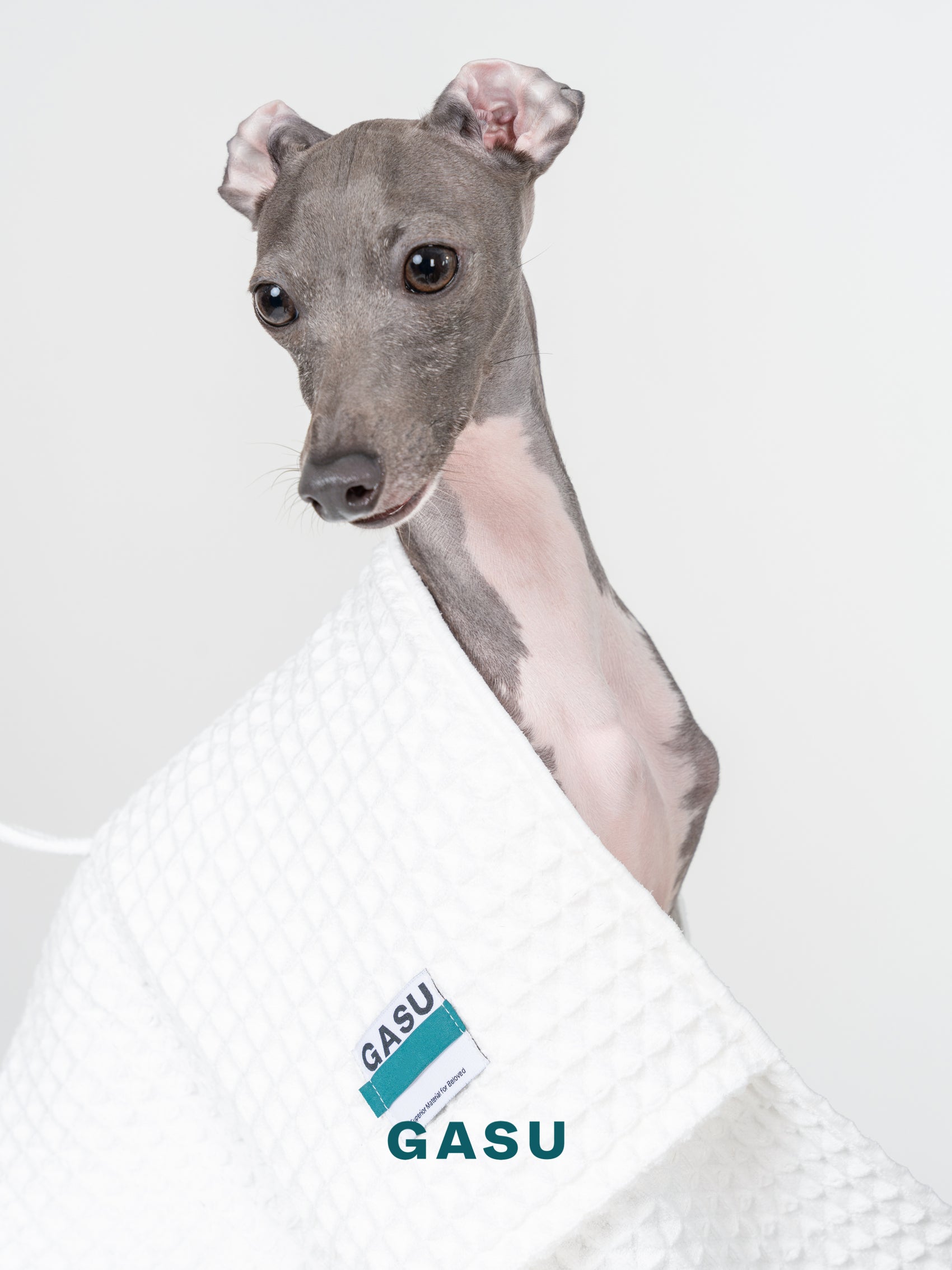 GASU Caresser / [Milk] Pet Bath Towel