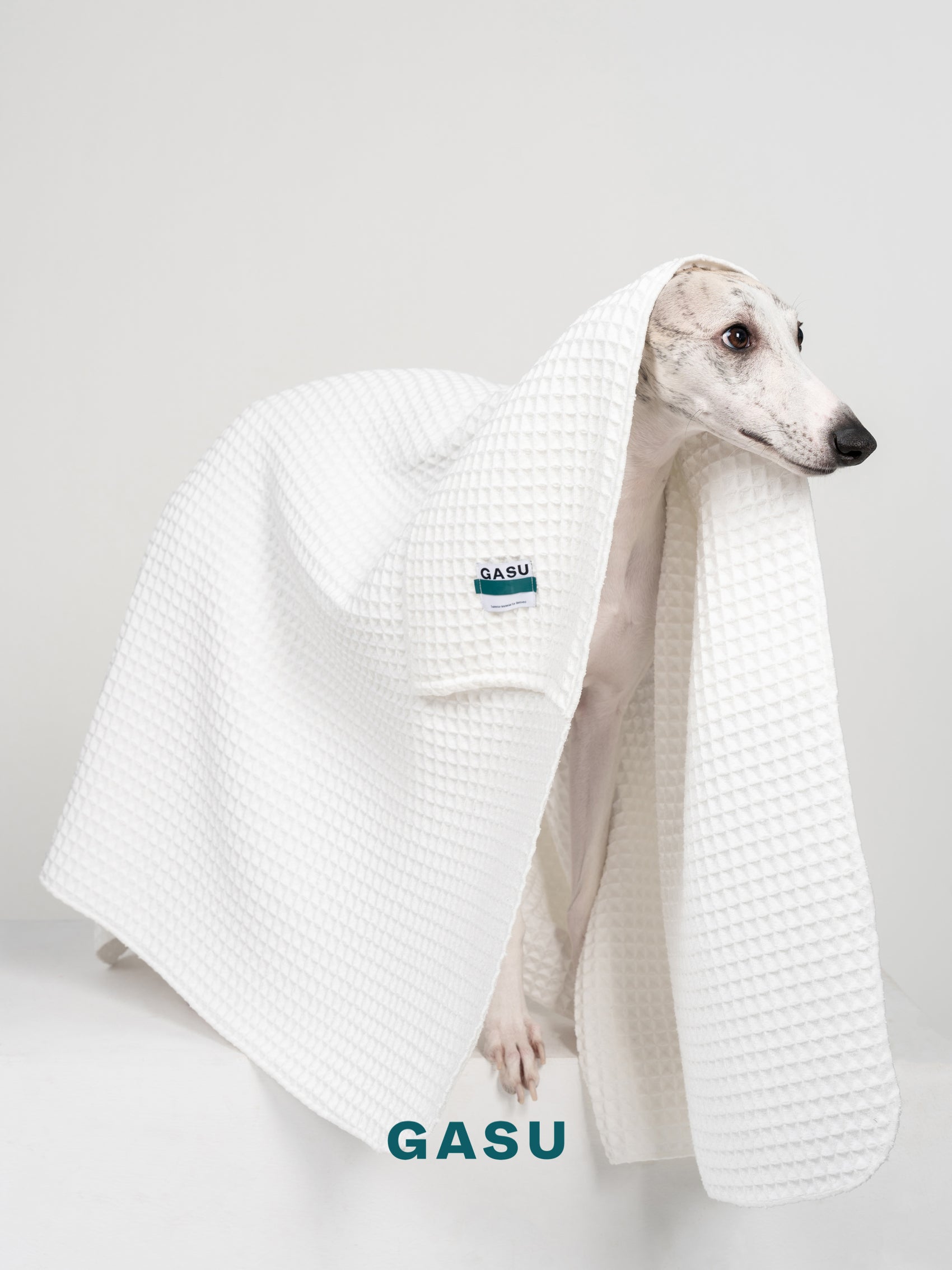 GASU Caresser / [Milk] Pet Bath Towel