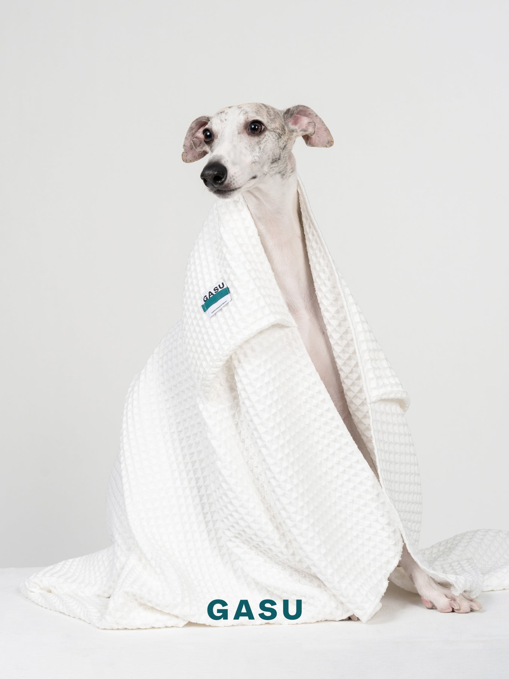 GASU Caresser / [Milk] Pet Bath Towel