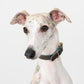 GASU Palette / [1.9cm Collar] Leather Dog Collar
