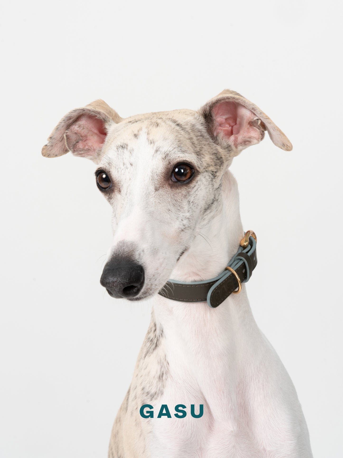 GASU Palette / [1.9cm Collar] Leather Dog Collar