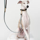 GASU Palette / [1.9cm Collar] Leather Dog Collar