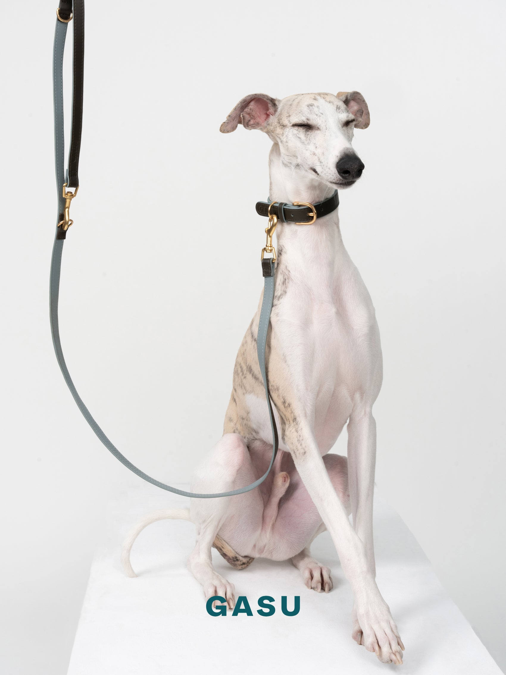 GASU Palette / [1.9cm Collar] Leather Dog Collar