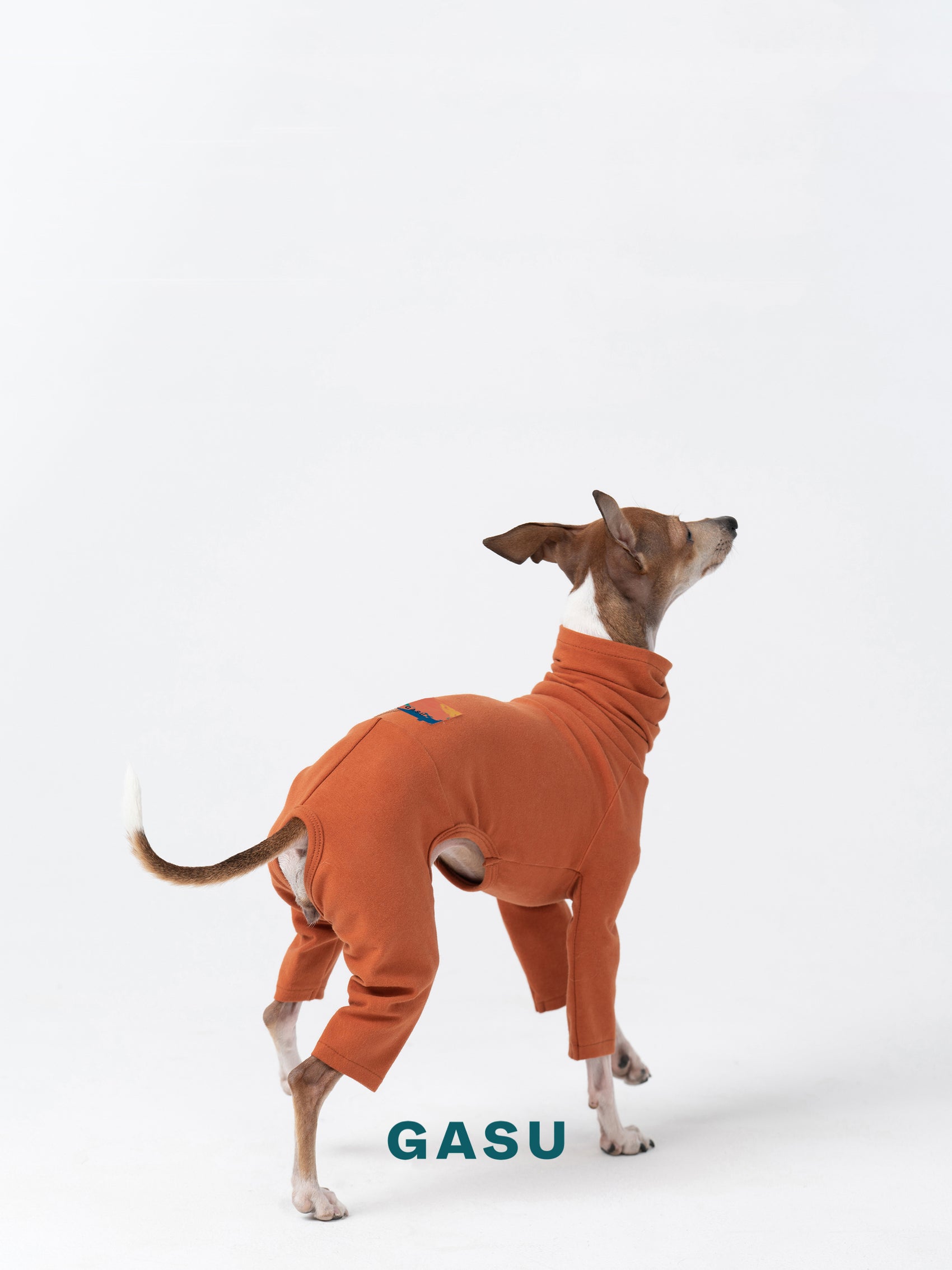 GASU Flâner / [Caramel Brown] Cotton 4-Leg Fit Jumpsuit