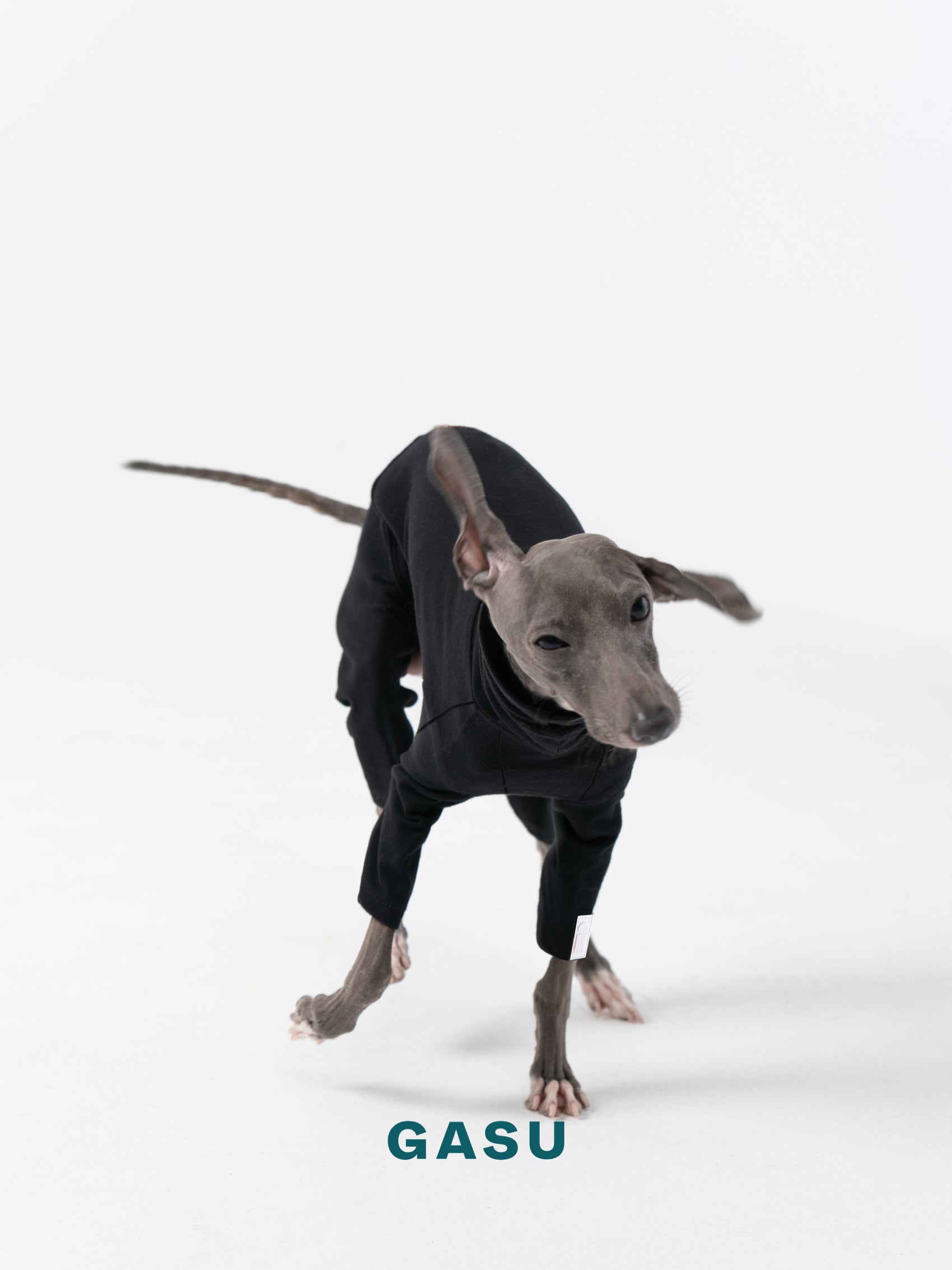 GASU Flâner / [Black] Cotton 4-Leg Fit Jumpsuit