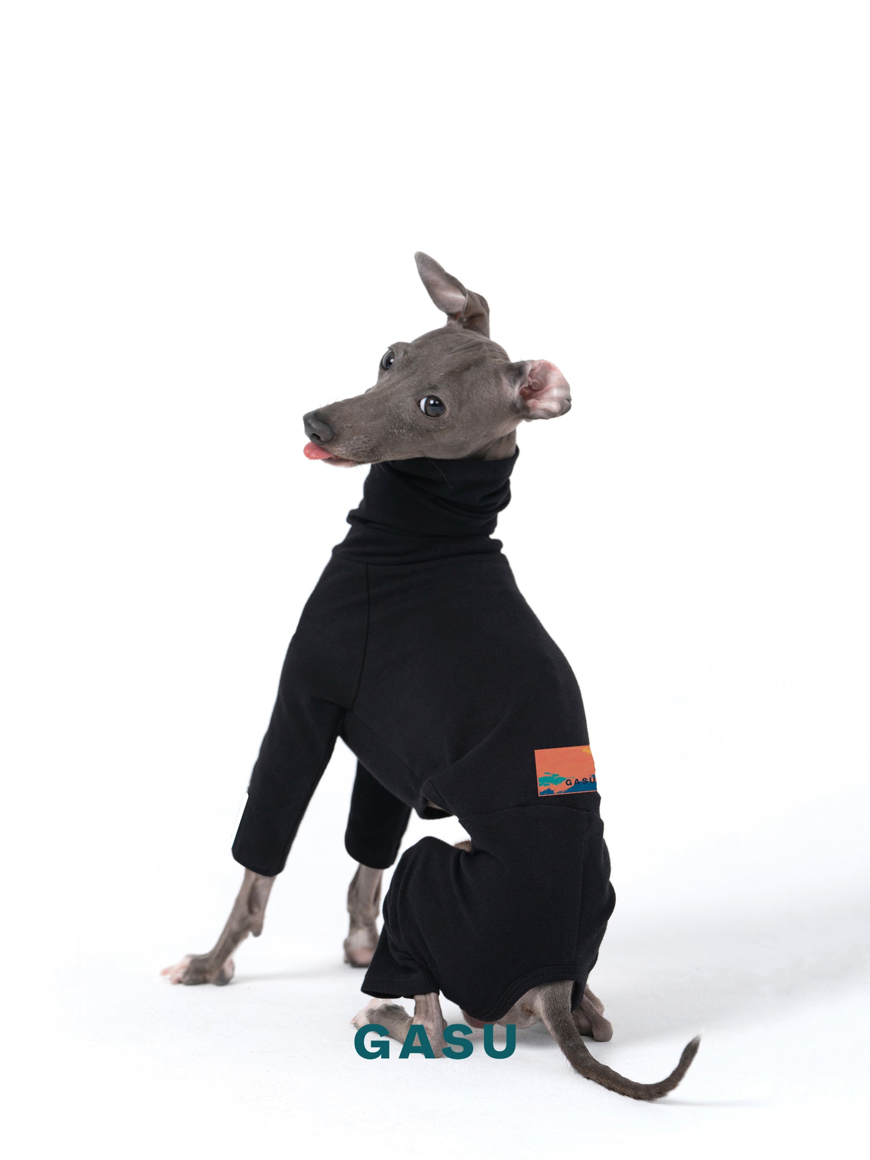 GASU Flâner / [Black] Cotton 4-Leg Fit Jumpsuit