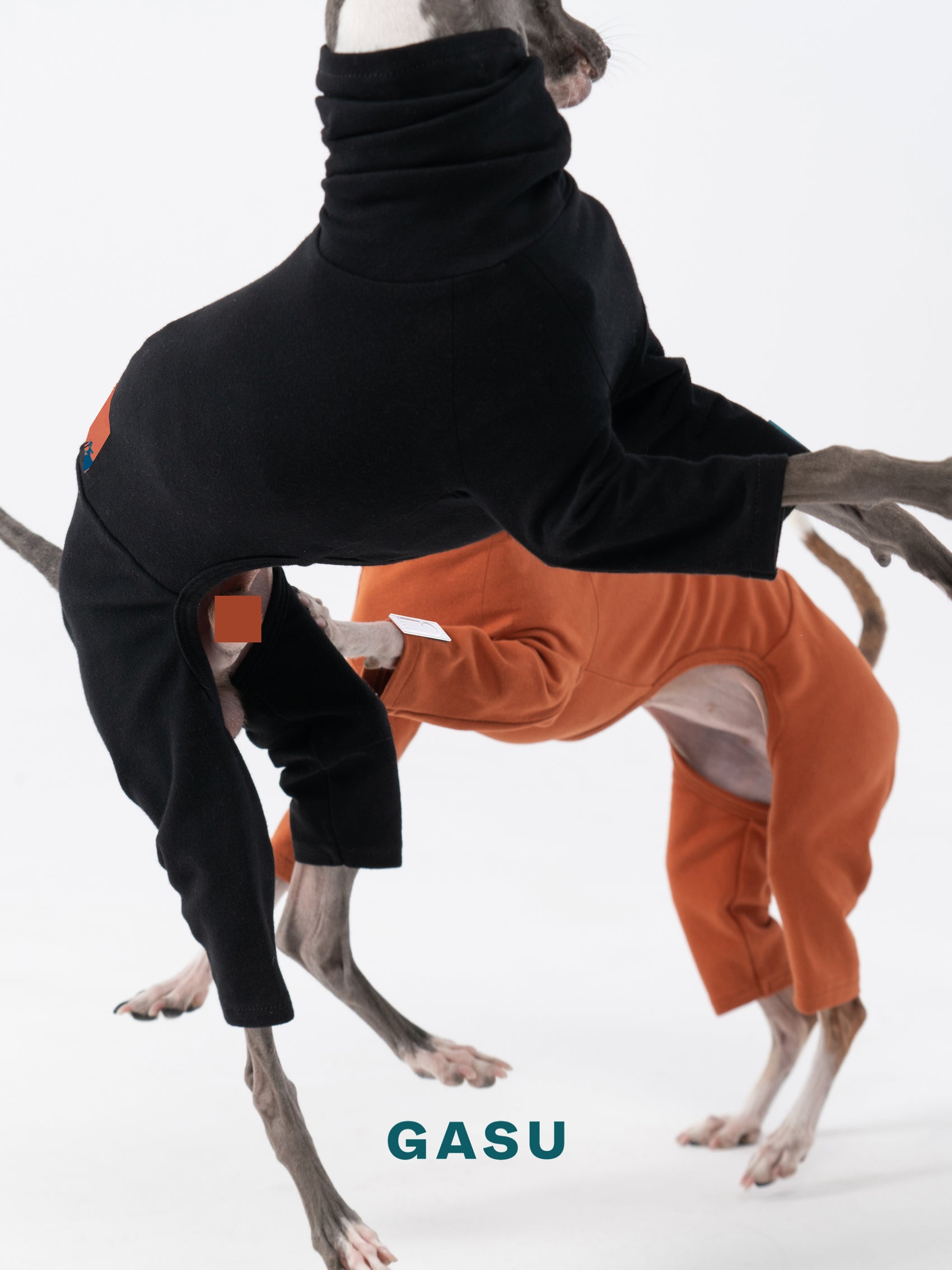 GASU Flâner / [Black] Cotton 4-Leg Fit Jumpsuit