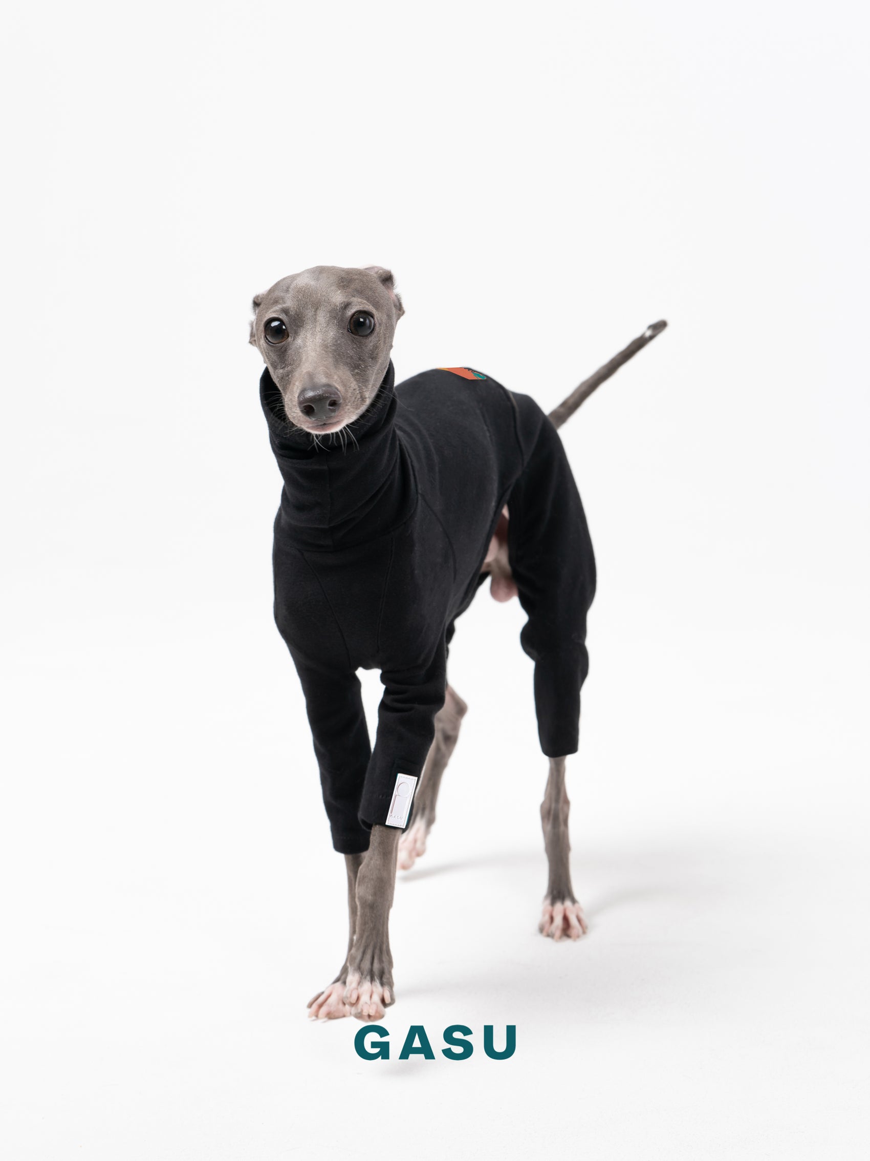 GASU Flâner / [Black] Cotton 4-Leg Fit Jumpsuit