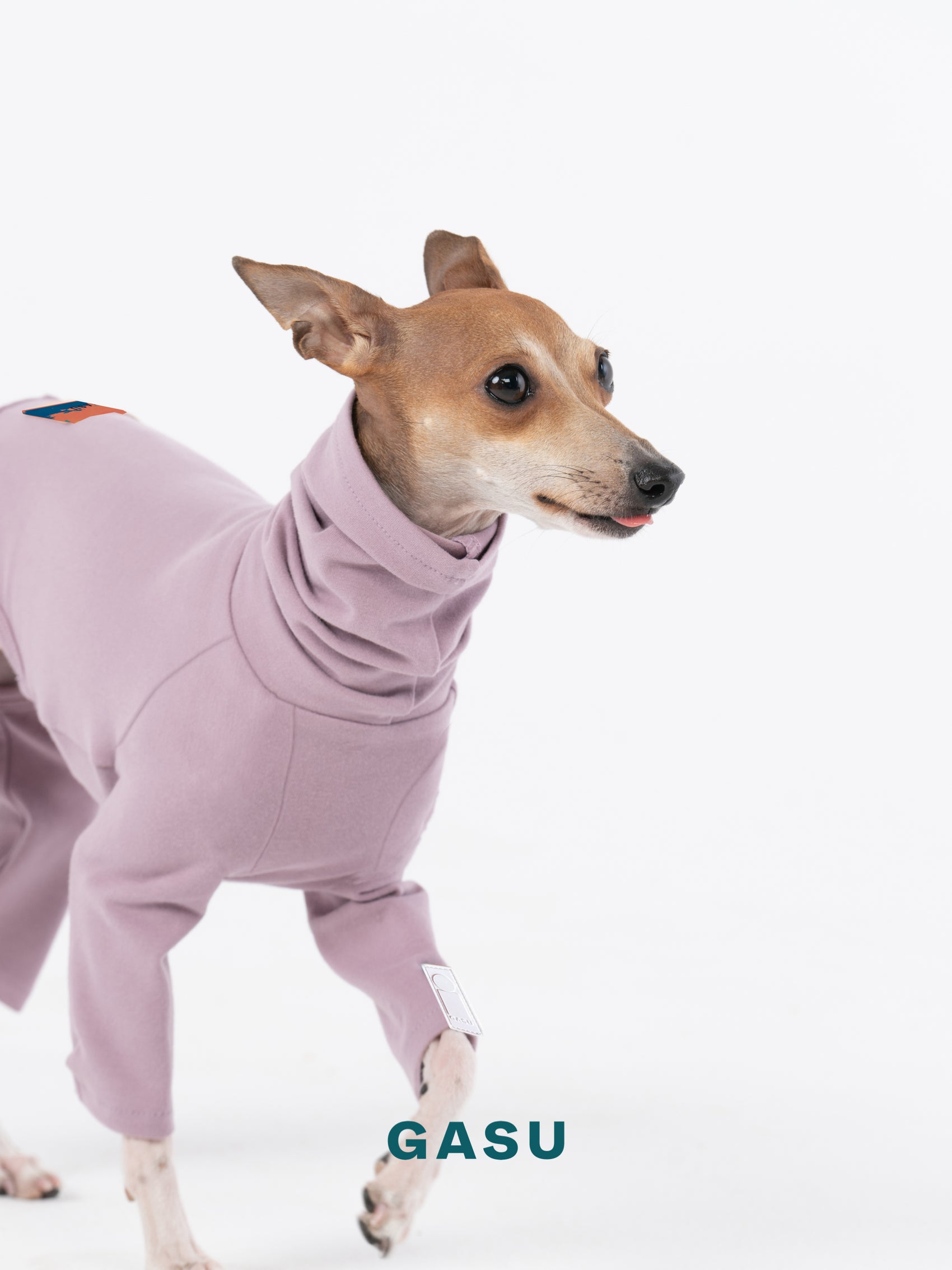 GASU Flâner / [Pale Purple] Cotton 4-Leg Fit Jumpsuit