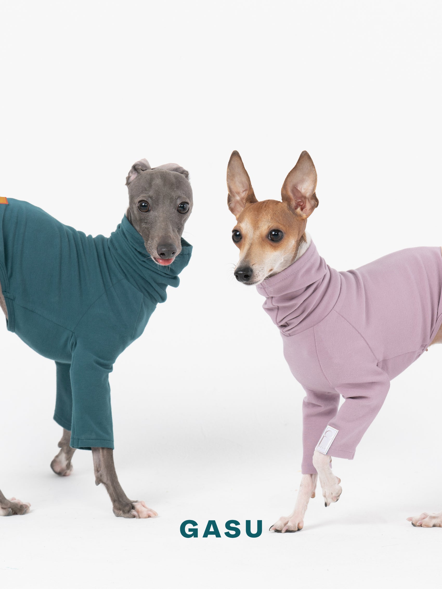 GASU Flâner / [Sea Green] Cotton 4-Leg Fit Jumpsuit