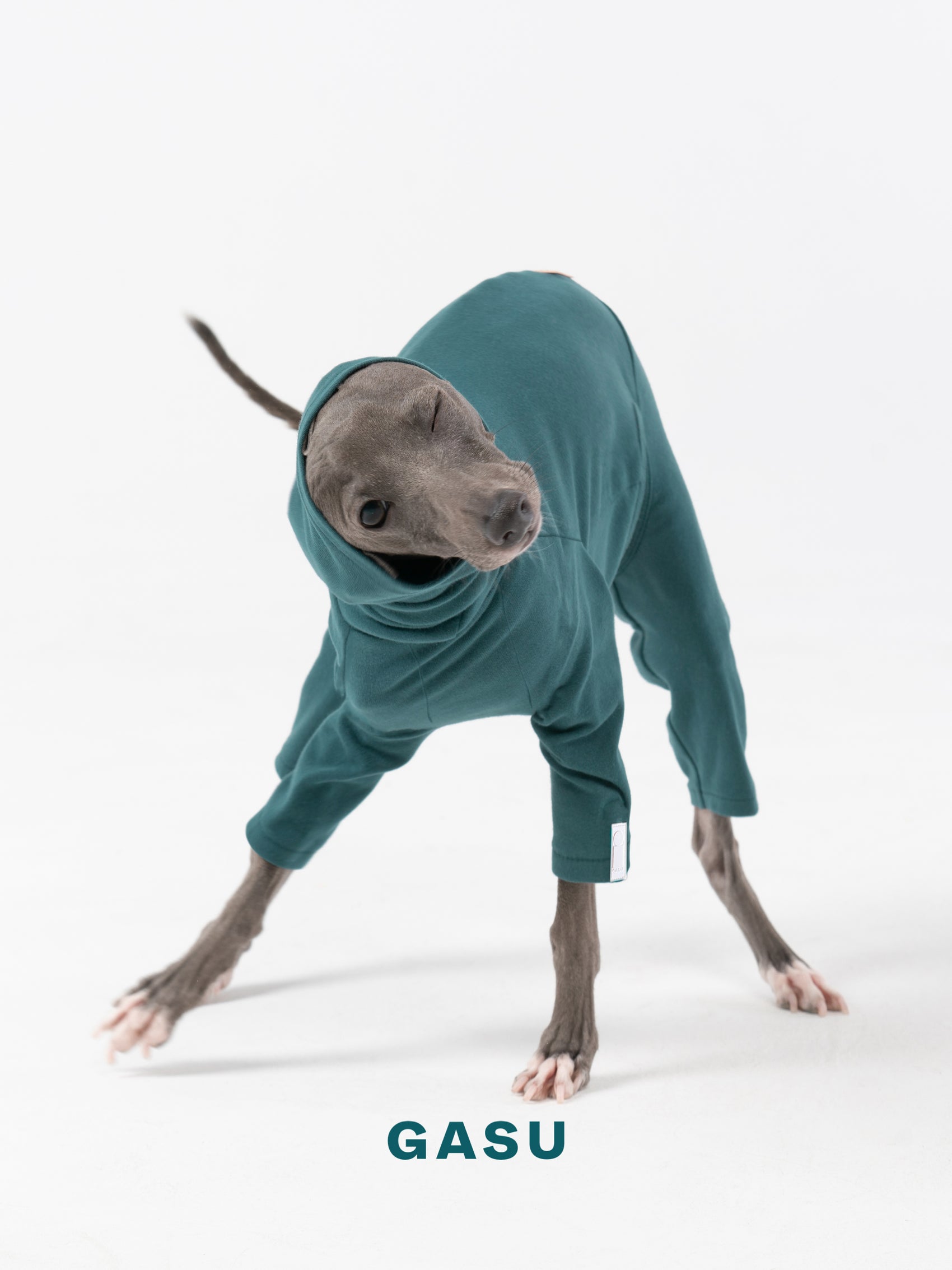 GASU Flâner / [Sea Green] Cotton 4-Leg Fit Jumpsuit