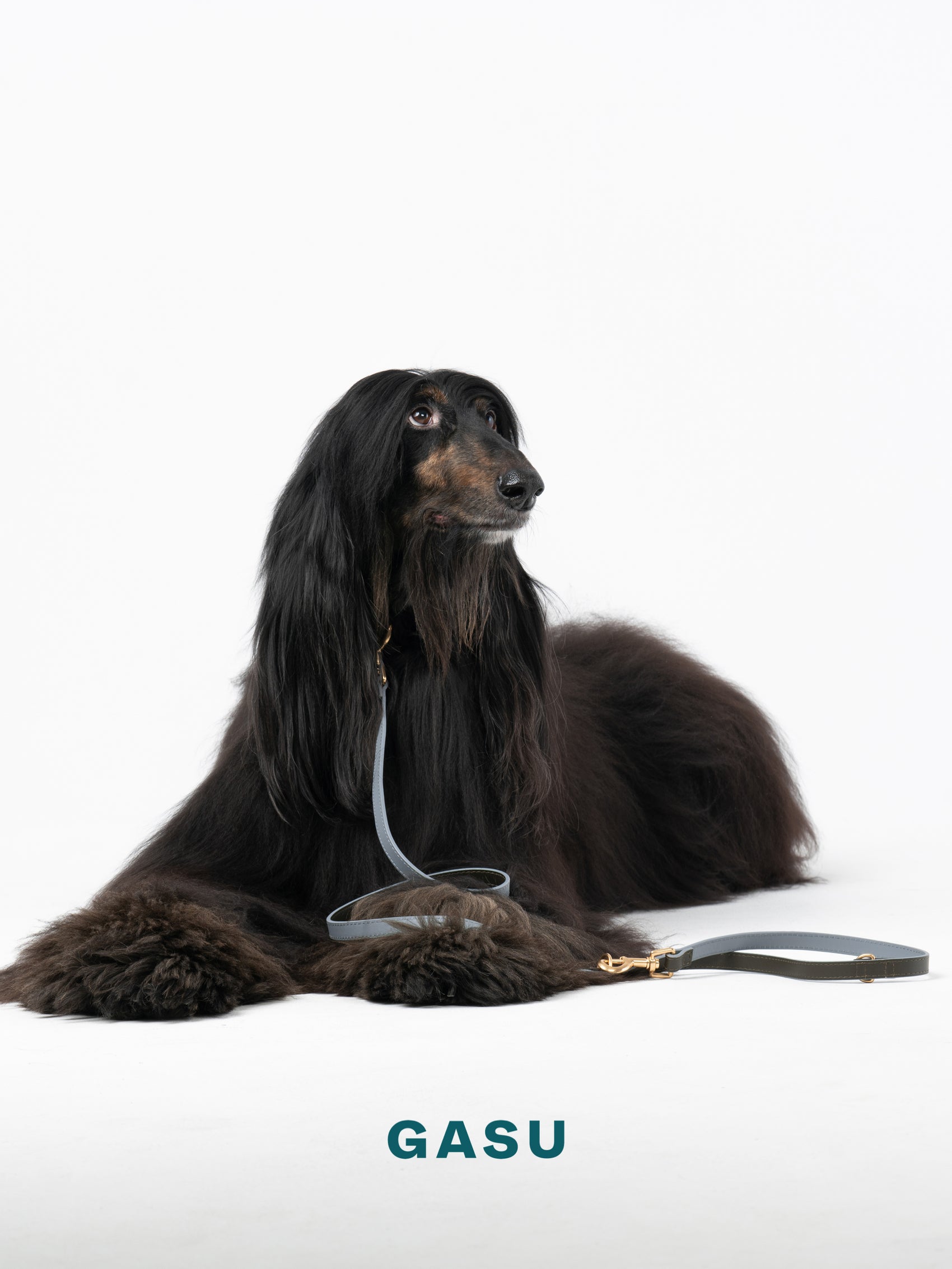 GASU Palette / [Leash] Leather Dog Leash