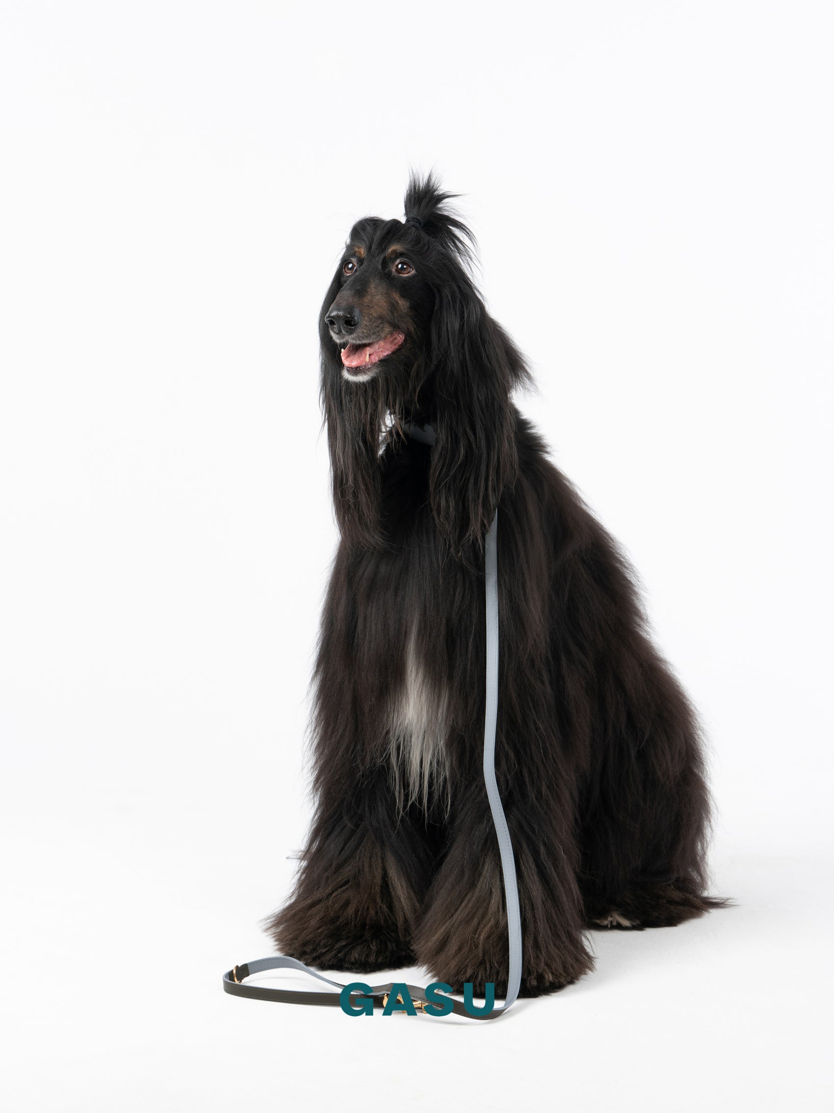 GASU Palette / [Leash] Leather Dog Leash