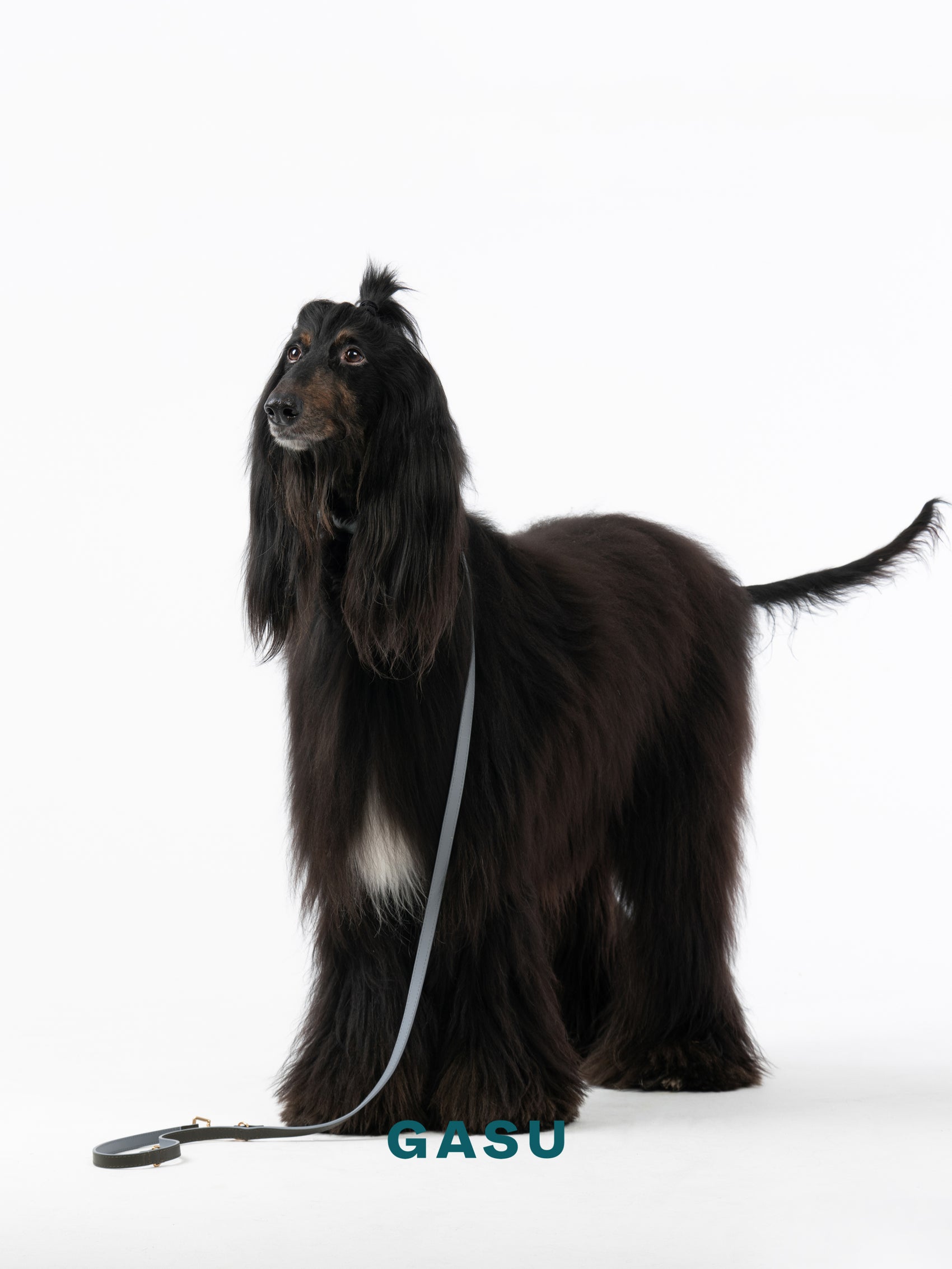 GASU Palette / [Leash] Leather Dog Leash
