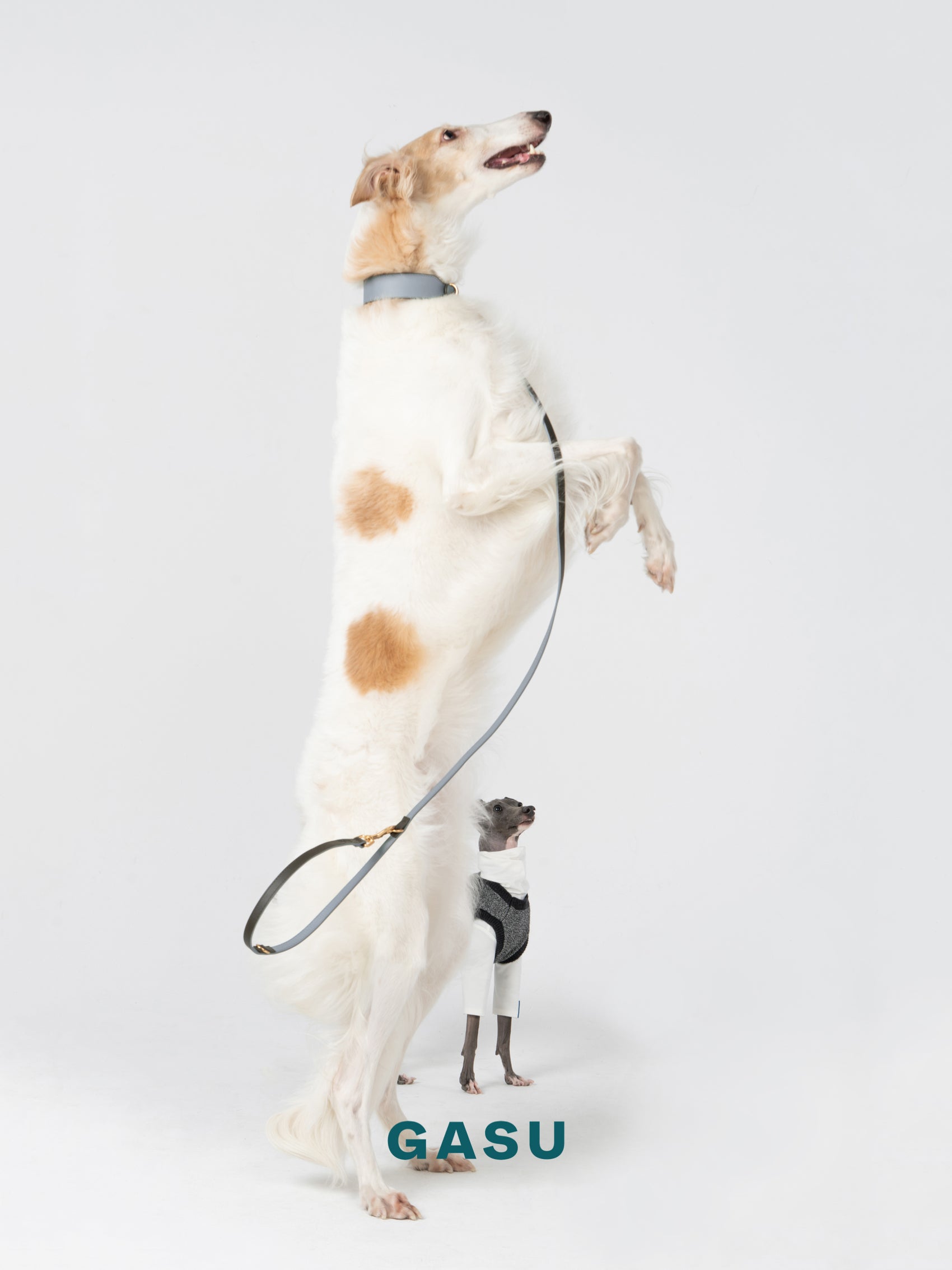 GASU Palette / [Leash] Leather Dog Leash
