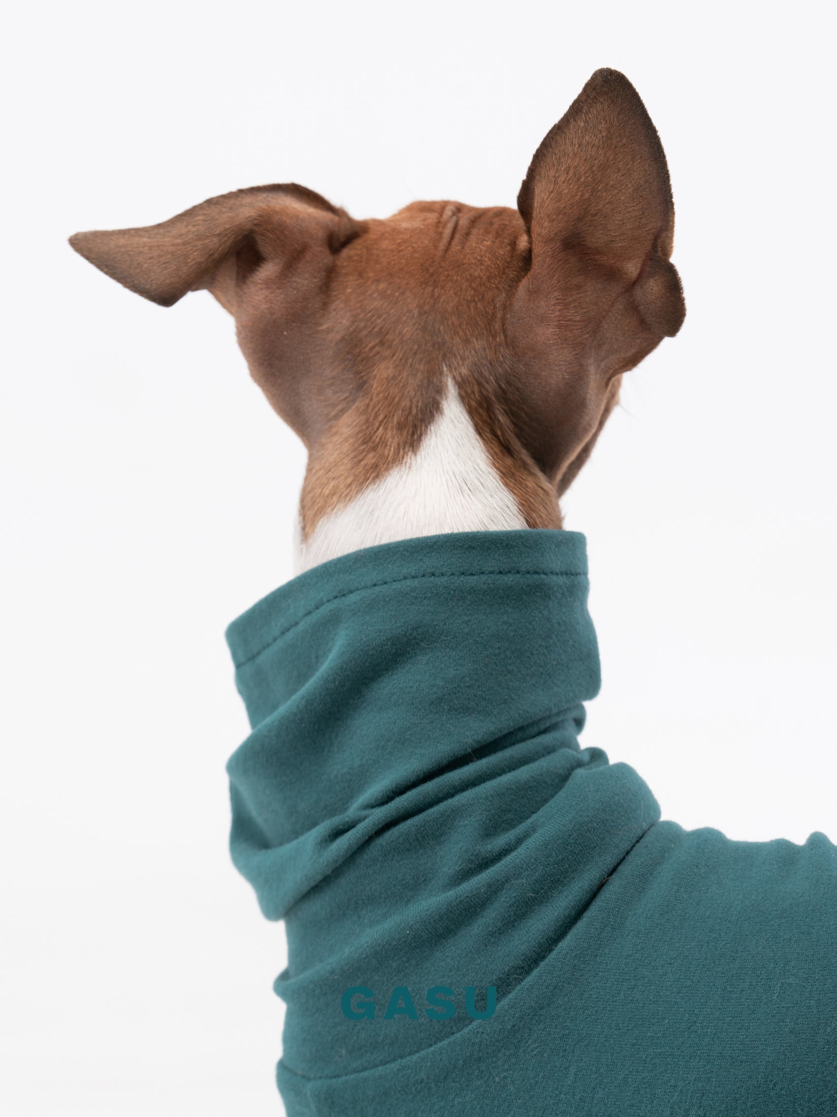 GASU Flâner / [Sea Green] Cotton 4-Leg Fit Jumpsuit