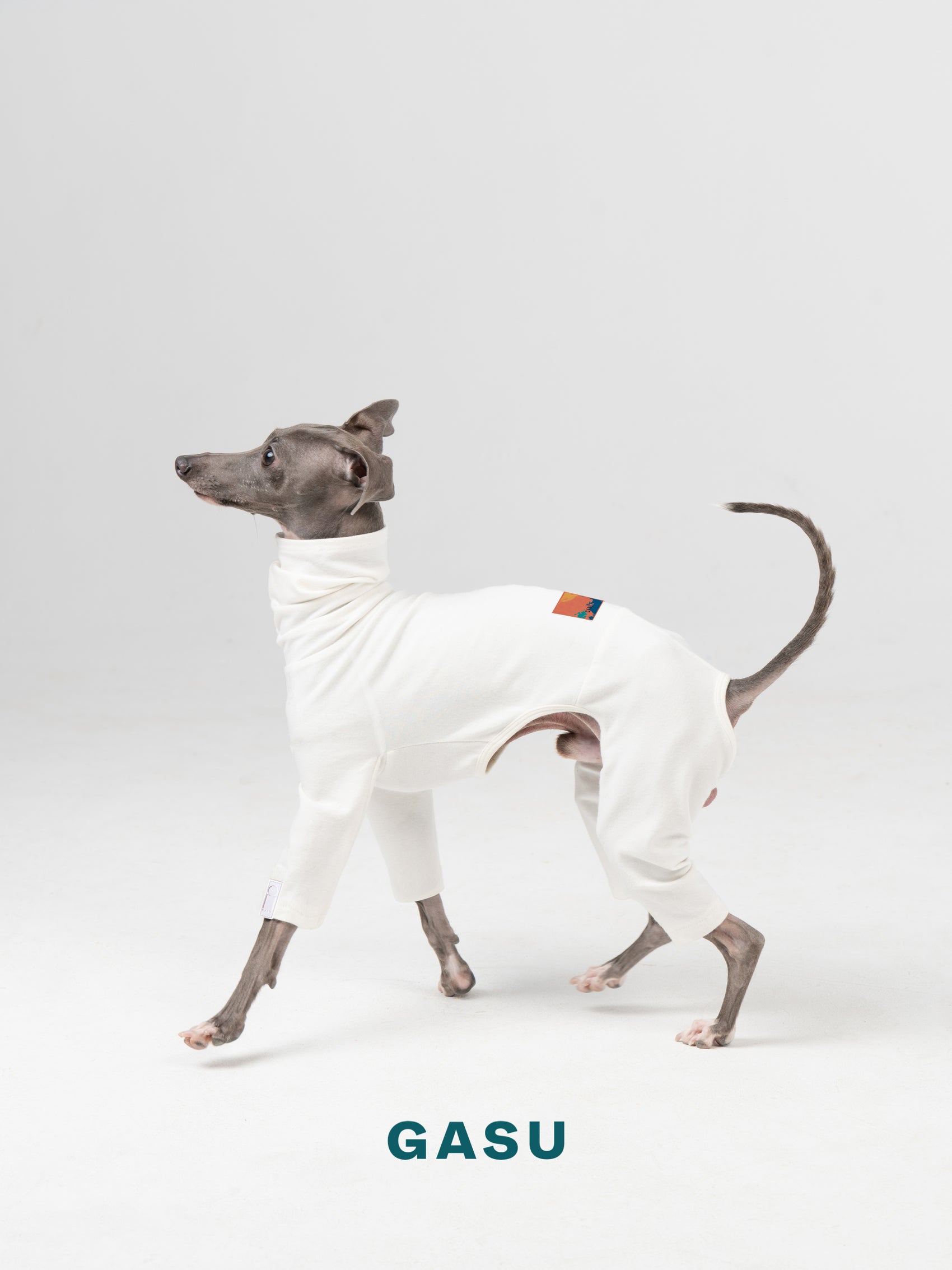 GASU Flâner / [Cream White] Cotton 4-Leg Fit Jumpsuit