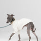 GASU Palette / [1.9cm Collar] Leather Dog Collar