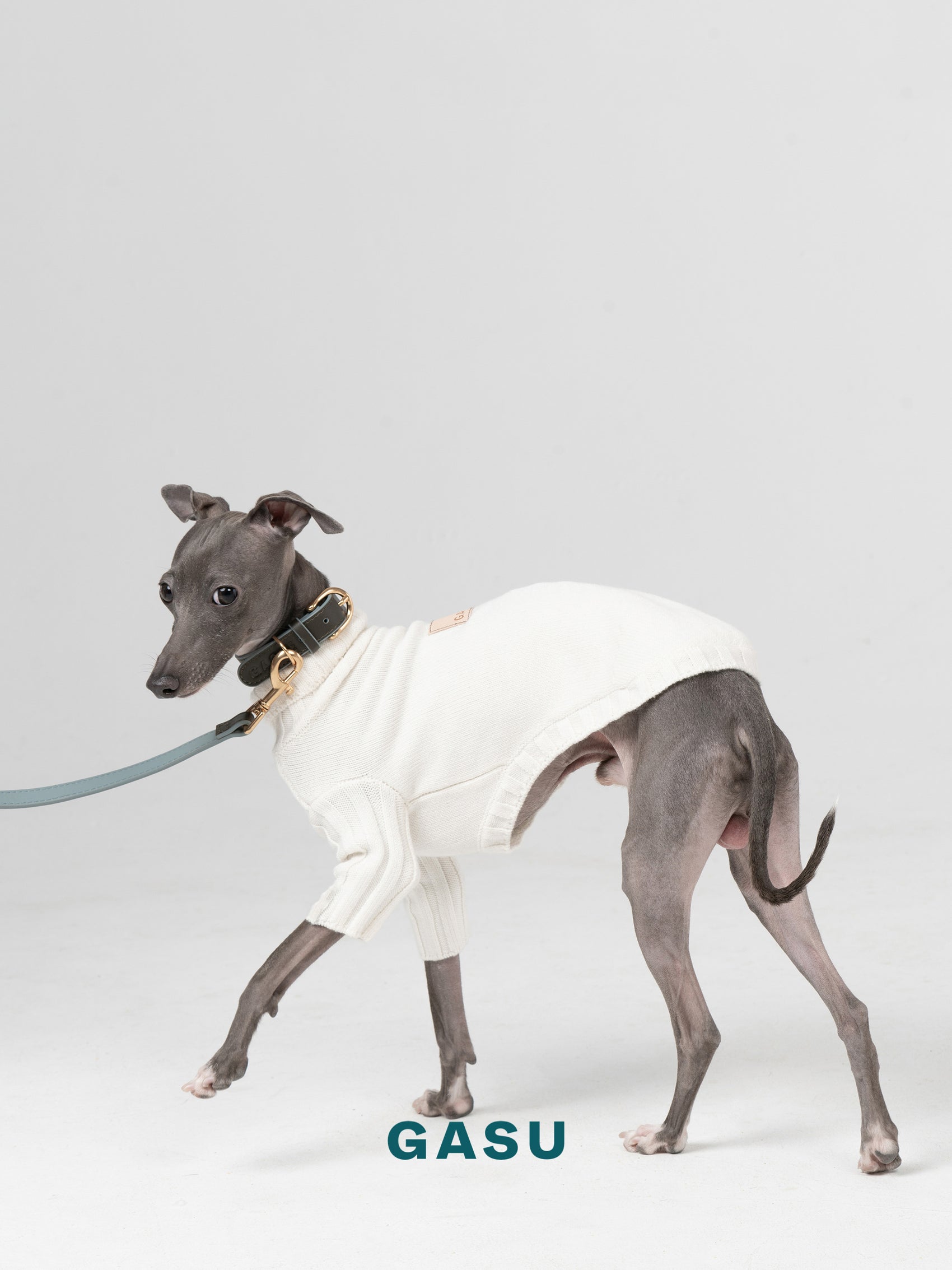 GASU Palette / [1.9cm Collar] Leather Dog Collar