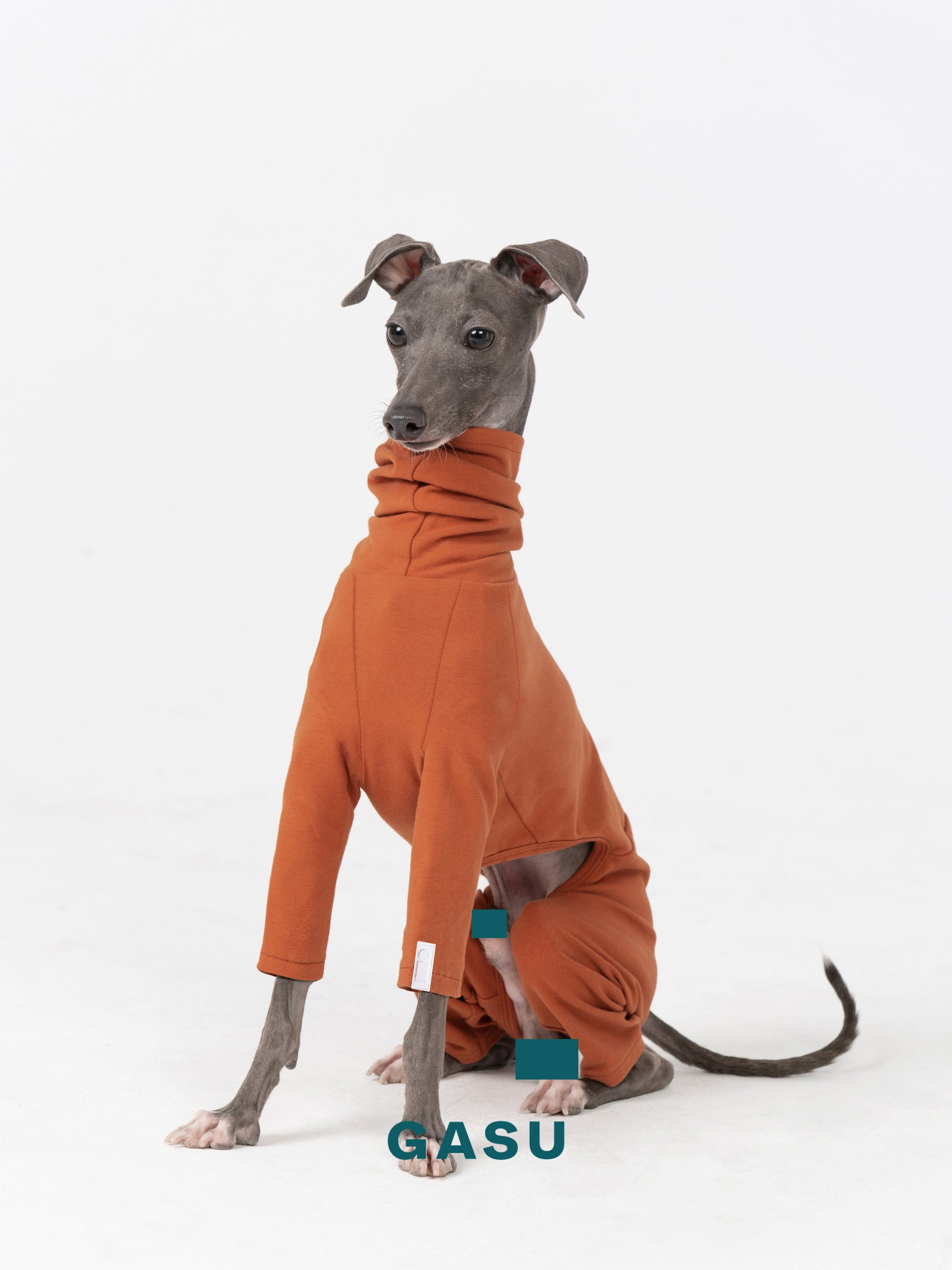 GASU Flâner / [Caramel Brown] Cotton 4-Leg Fit Jumpsuit