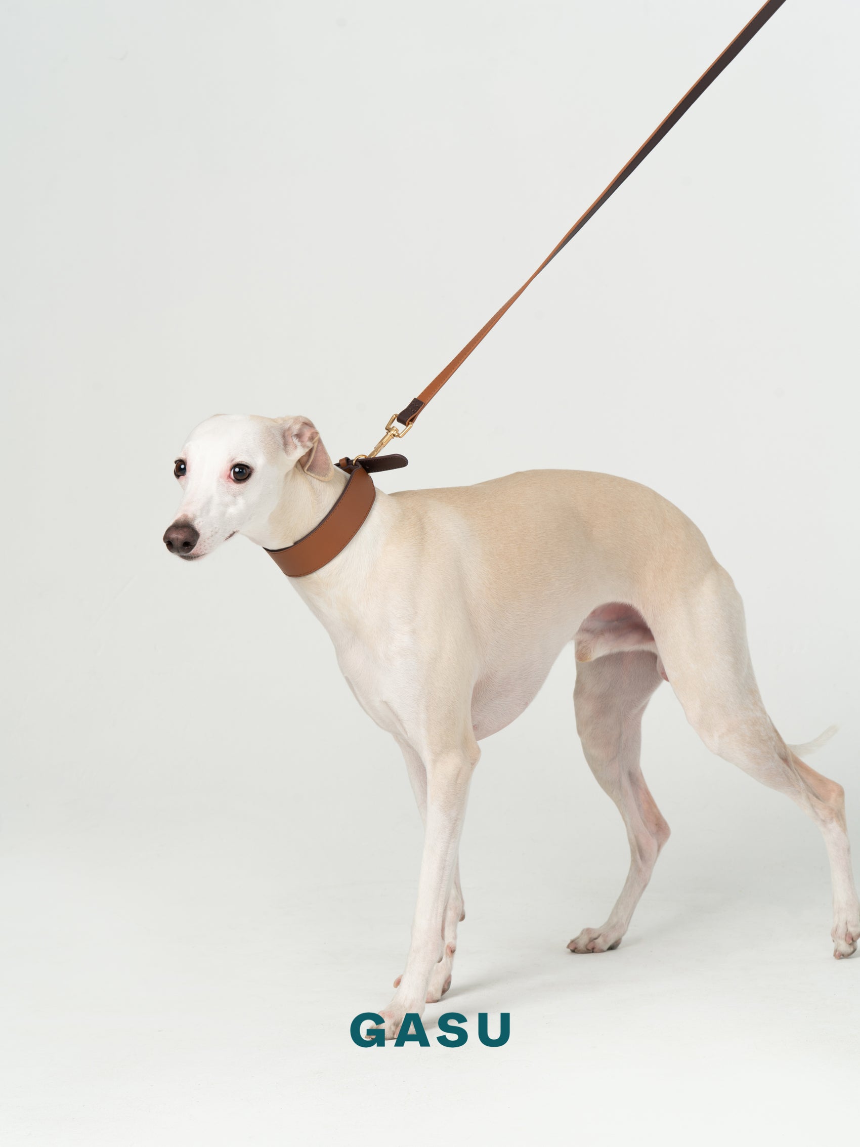 GASU Palette / [3.8cm Collar] Leather Dog Collar