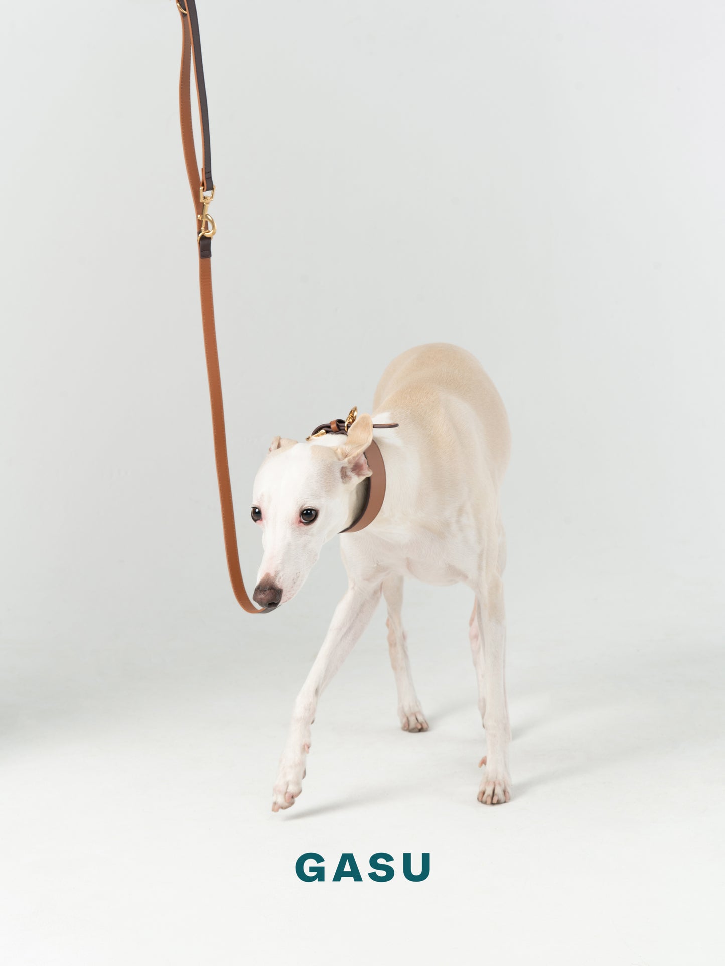 GASU Palette / [1.9cm Collar] Leather Dog Collar