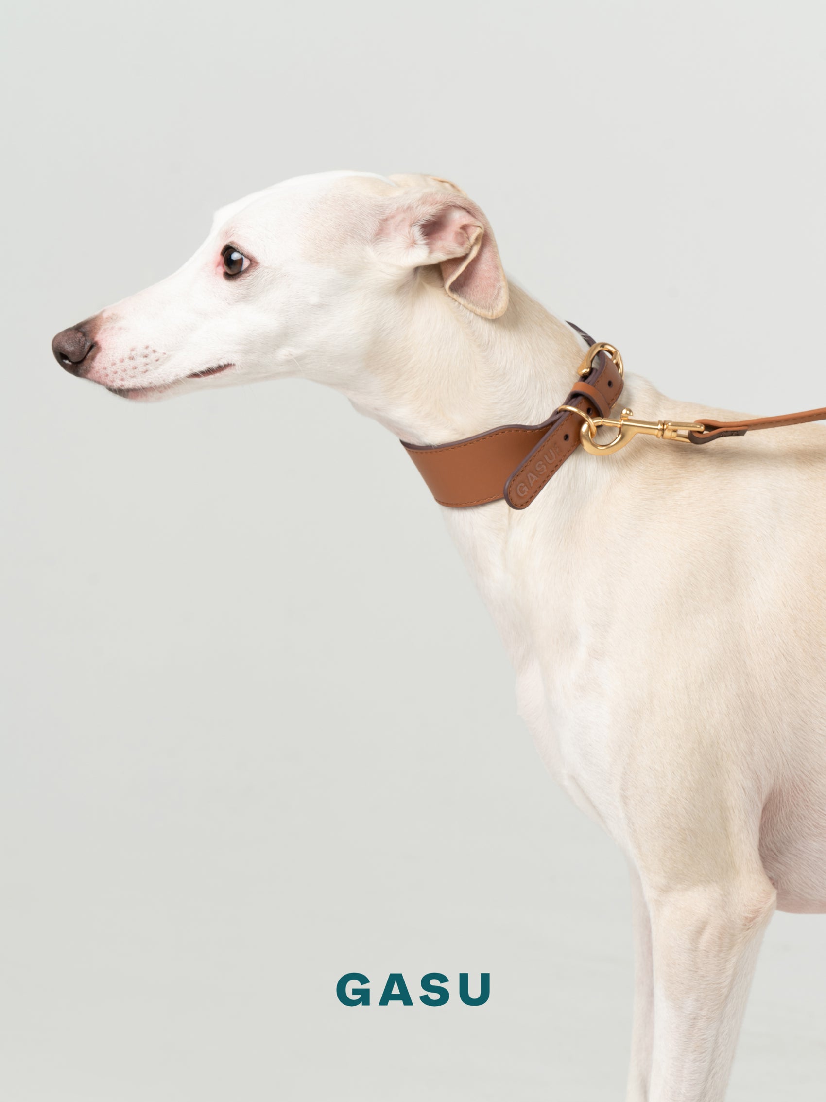 GASU Palette / [3.8cm Collar] Leather Dog Collar