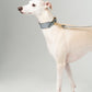 GASU Palette / [3.8cm Collar] Leather Dog Collar
