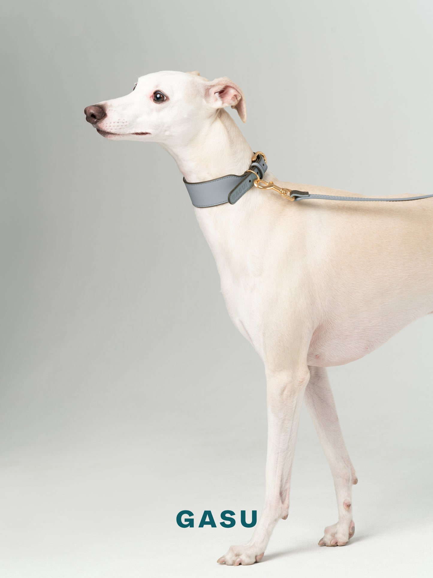 GASU Palette / [3.8cm Collar] Leather Dog Collar