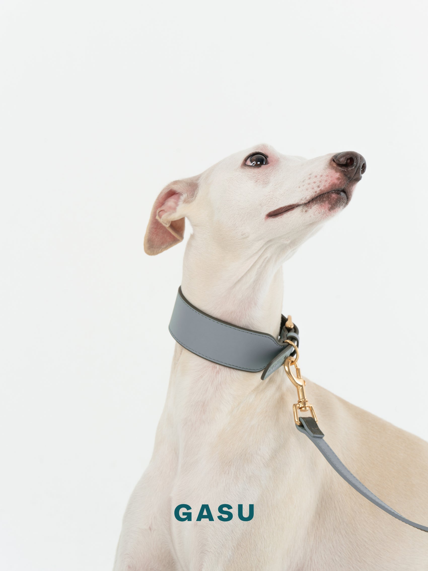 GASU Palette / [3.8cm Collar] Leather Dog Collar
