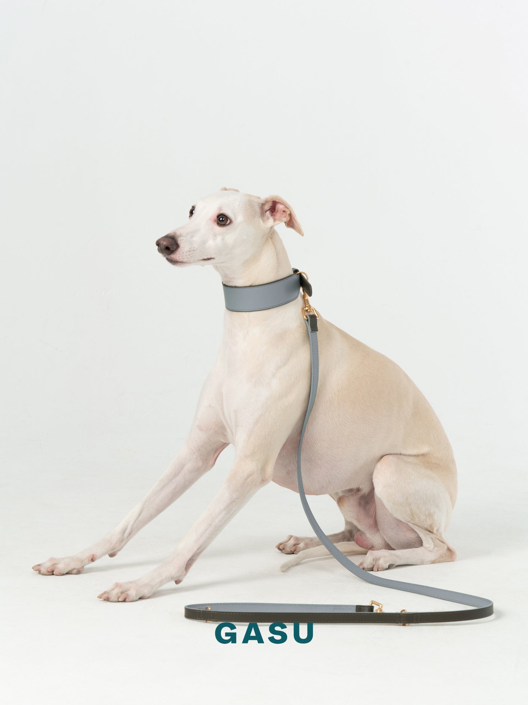 GASU Palette / [3.8cm Collar] Leather Dog Collar