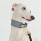GASU Palette / [3.8cm Collar] Leather Dog Collar