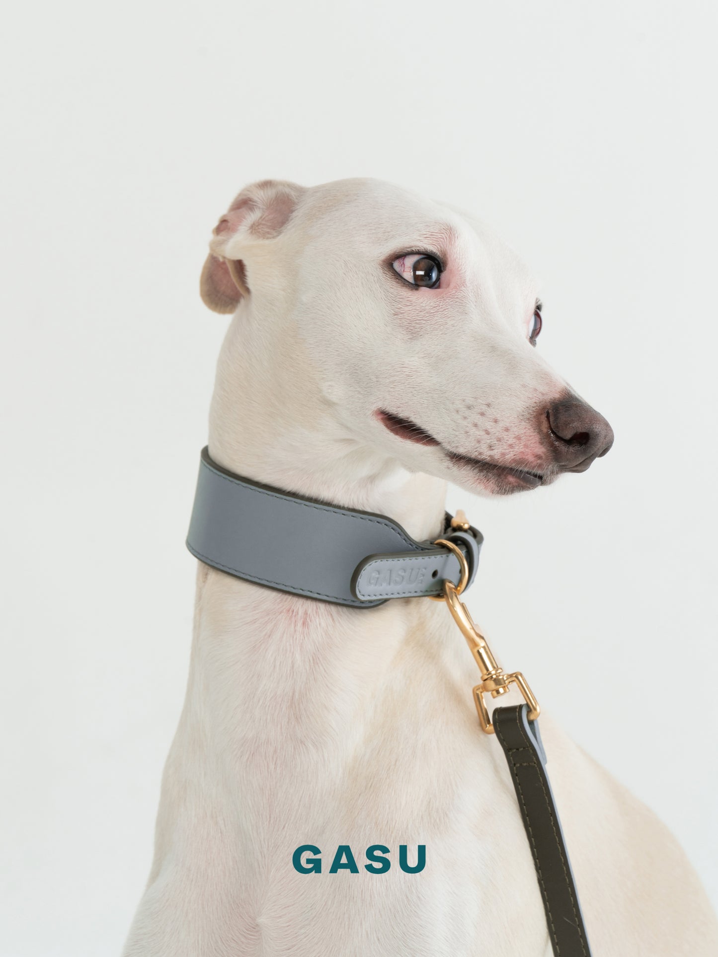 GASU Palette / [3.8cm Collar] Leather Dog Collar