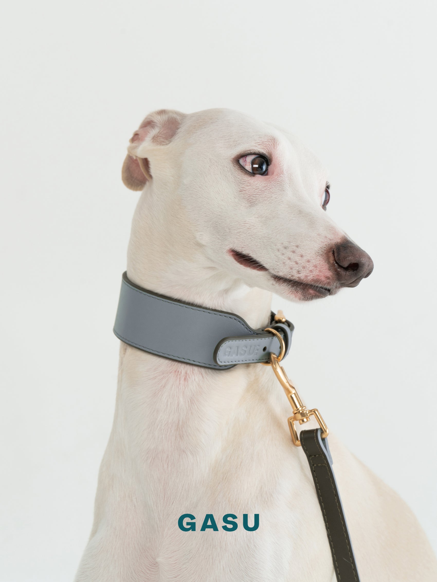 GASU Palette / [3.8cm Collar] Leather Dog Collar