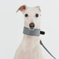 GASU Palette / [3.8cm Collar] Leather Dog Collar