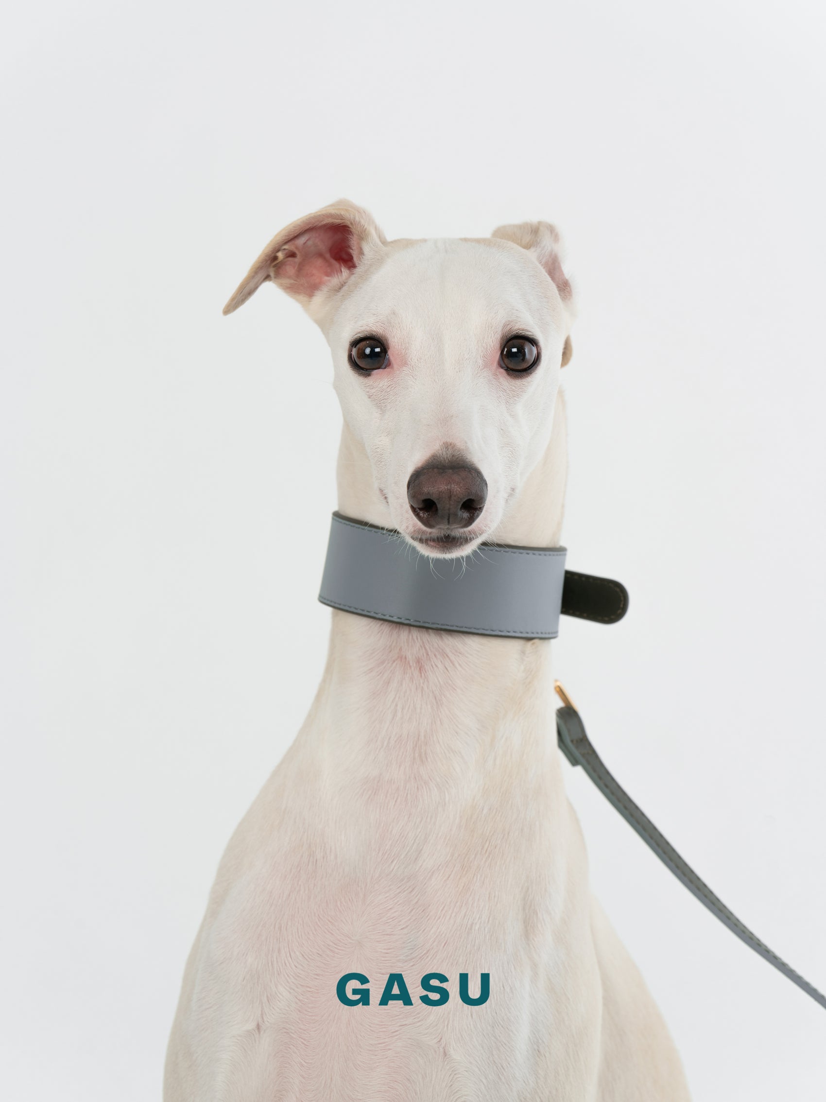 GASU Palette / [3.8cm Collar] Leather Dog Collar