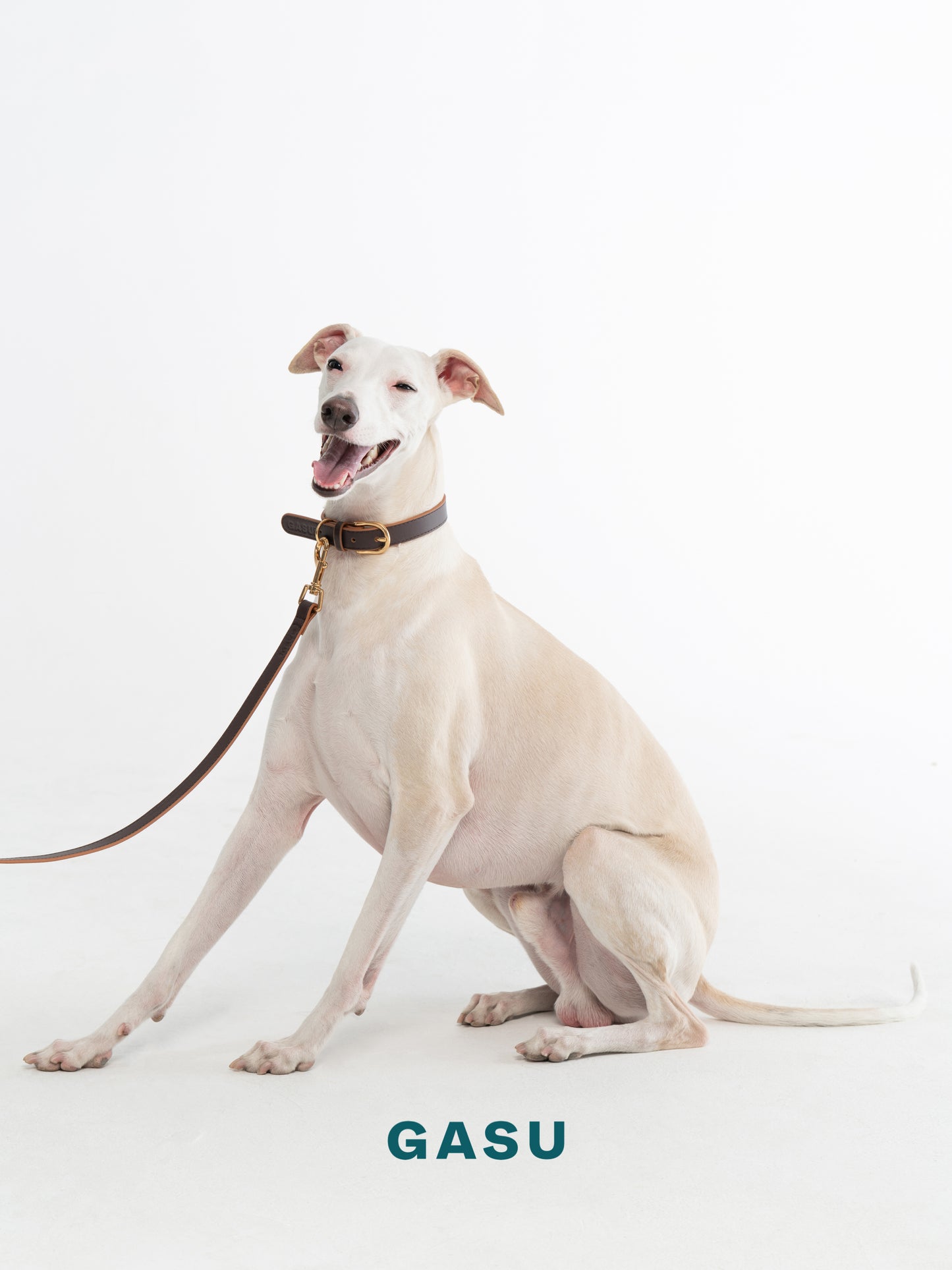 GASU Palette / [1.9cm Collar] Leather Dog Collar