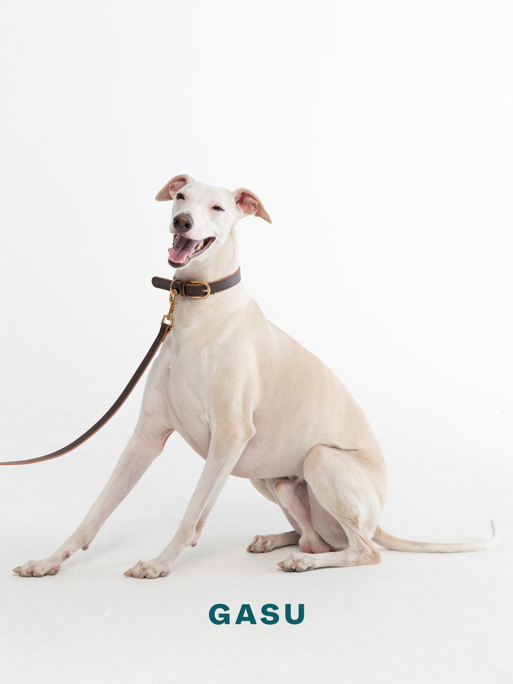 GASU Palette / [1.9cm Collar] Leather Dog Collar