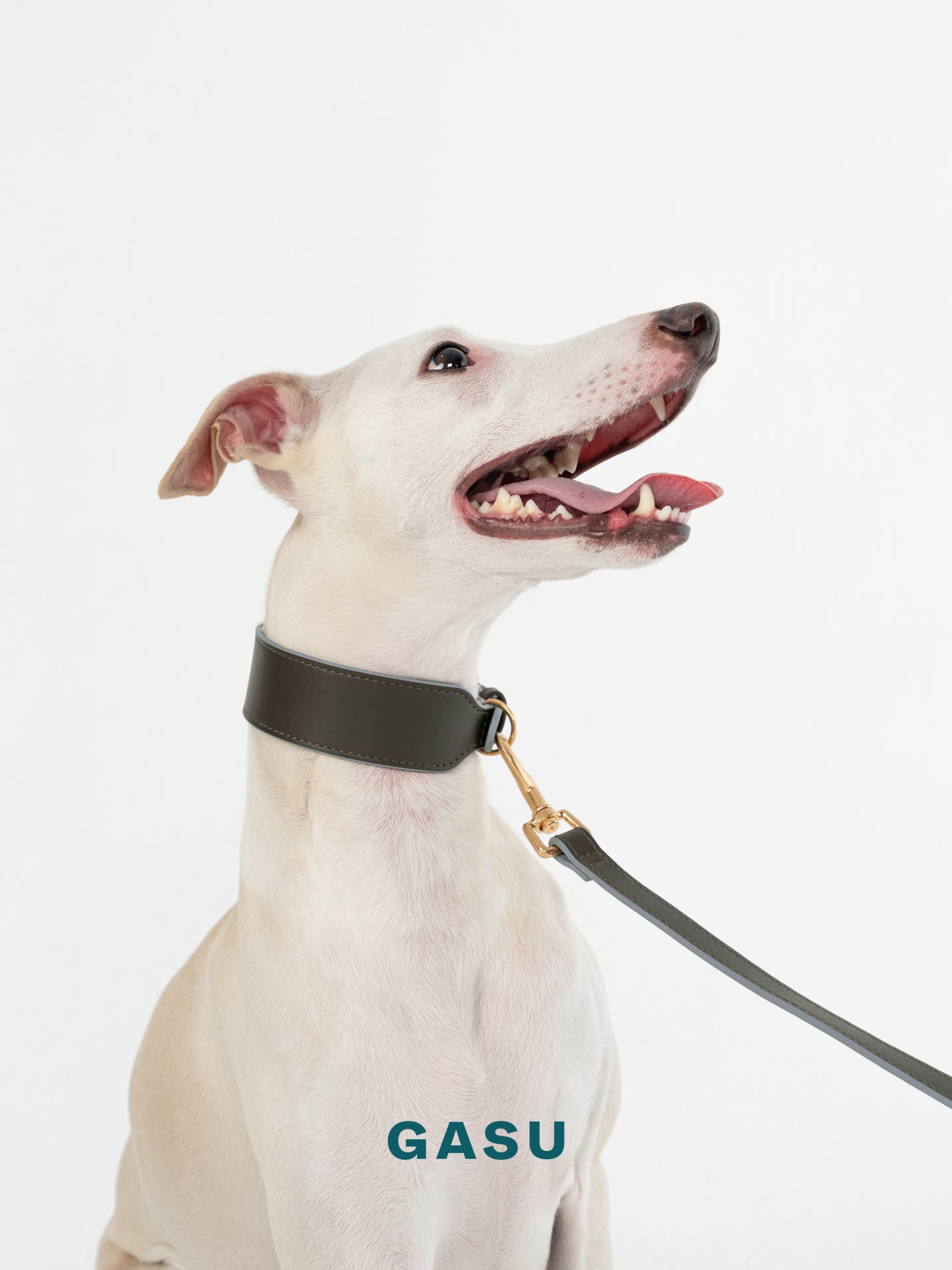 GASU Palette / [3.8cm Collar] Leather Dog Collar