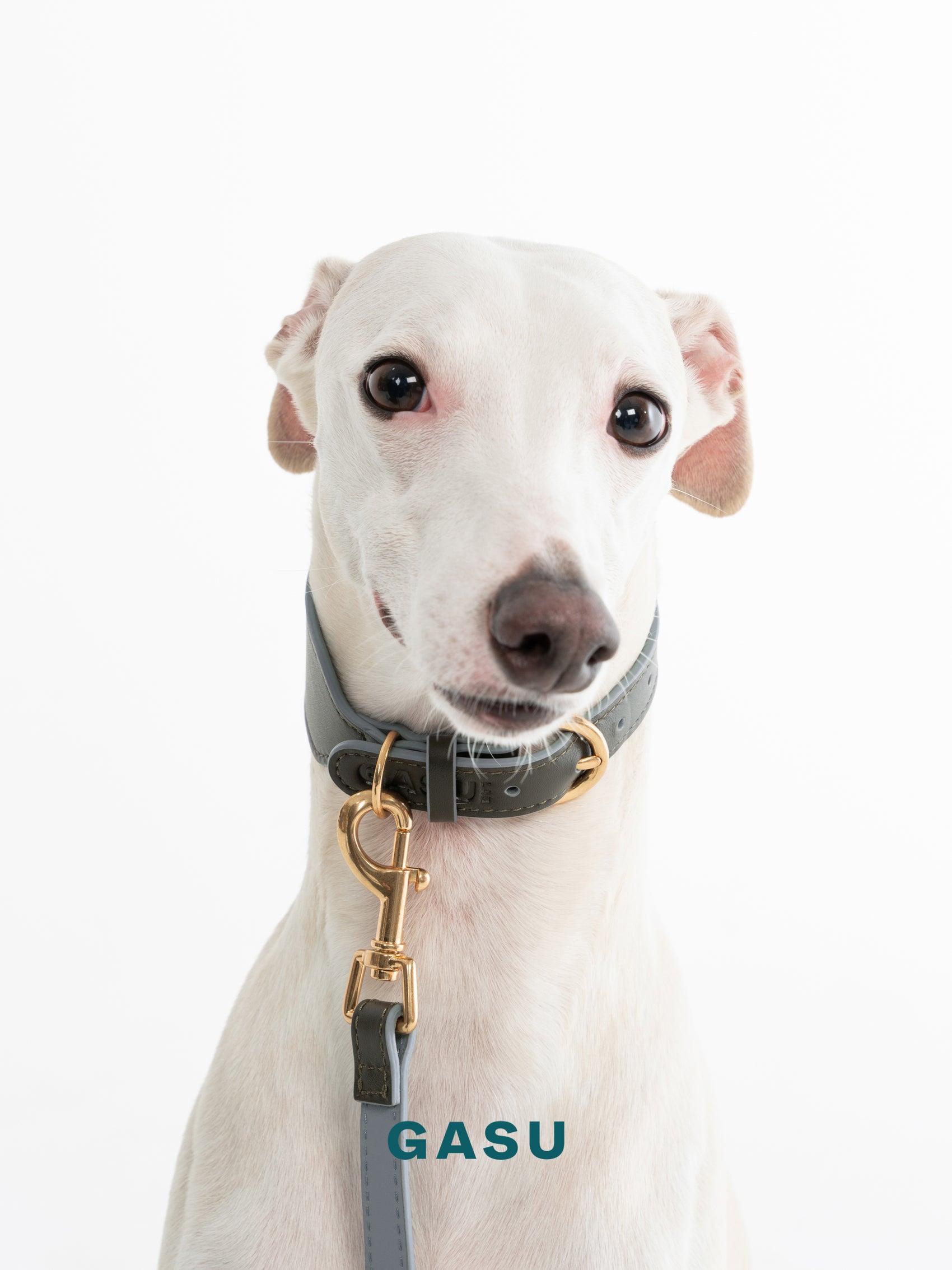GASU Palette / [3.8cm Collar] Leather Dog Collar
