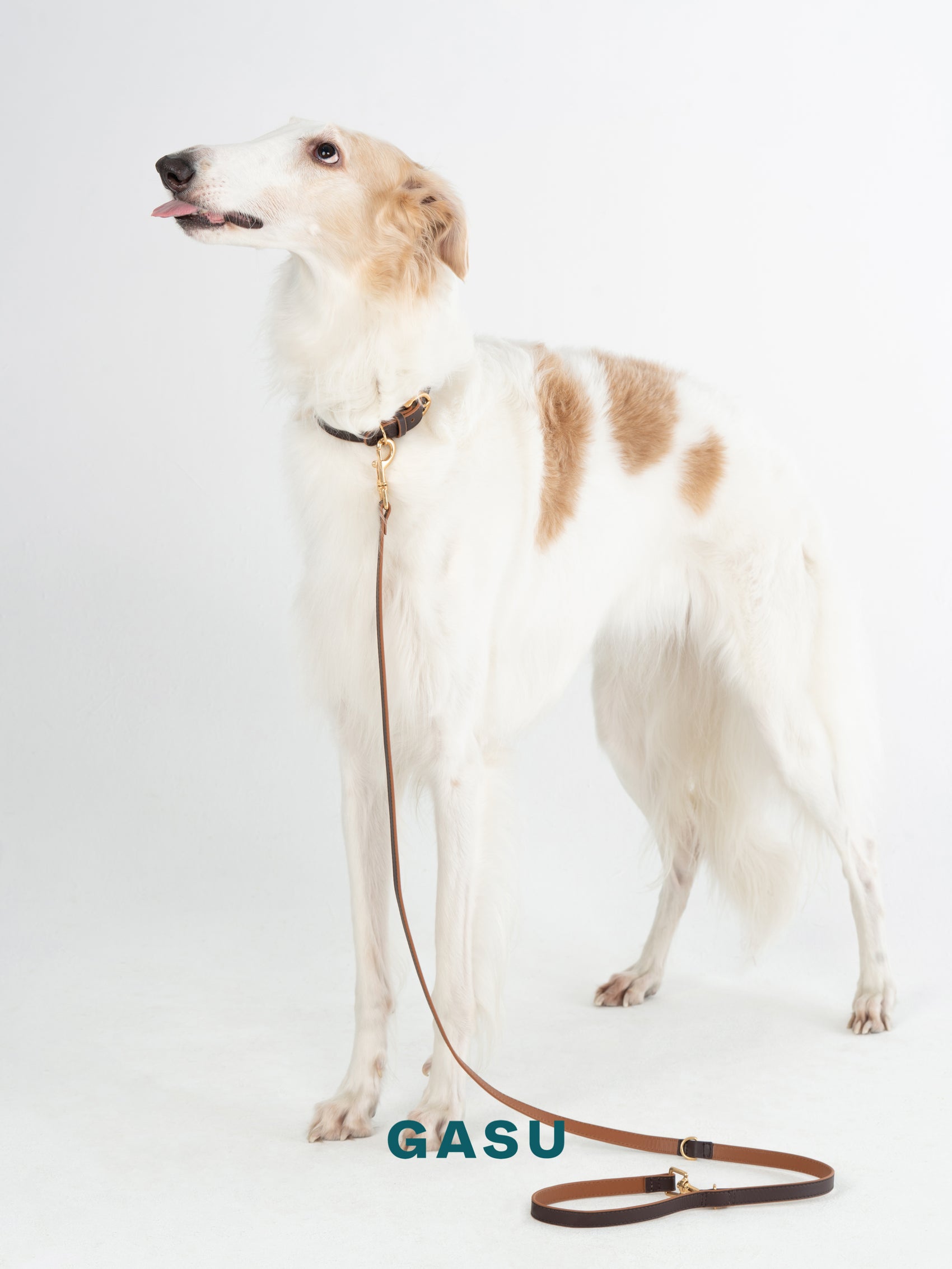 GASU Palette / [Leash] Leather Dog Leash