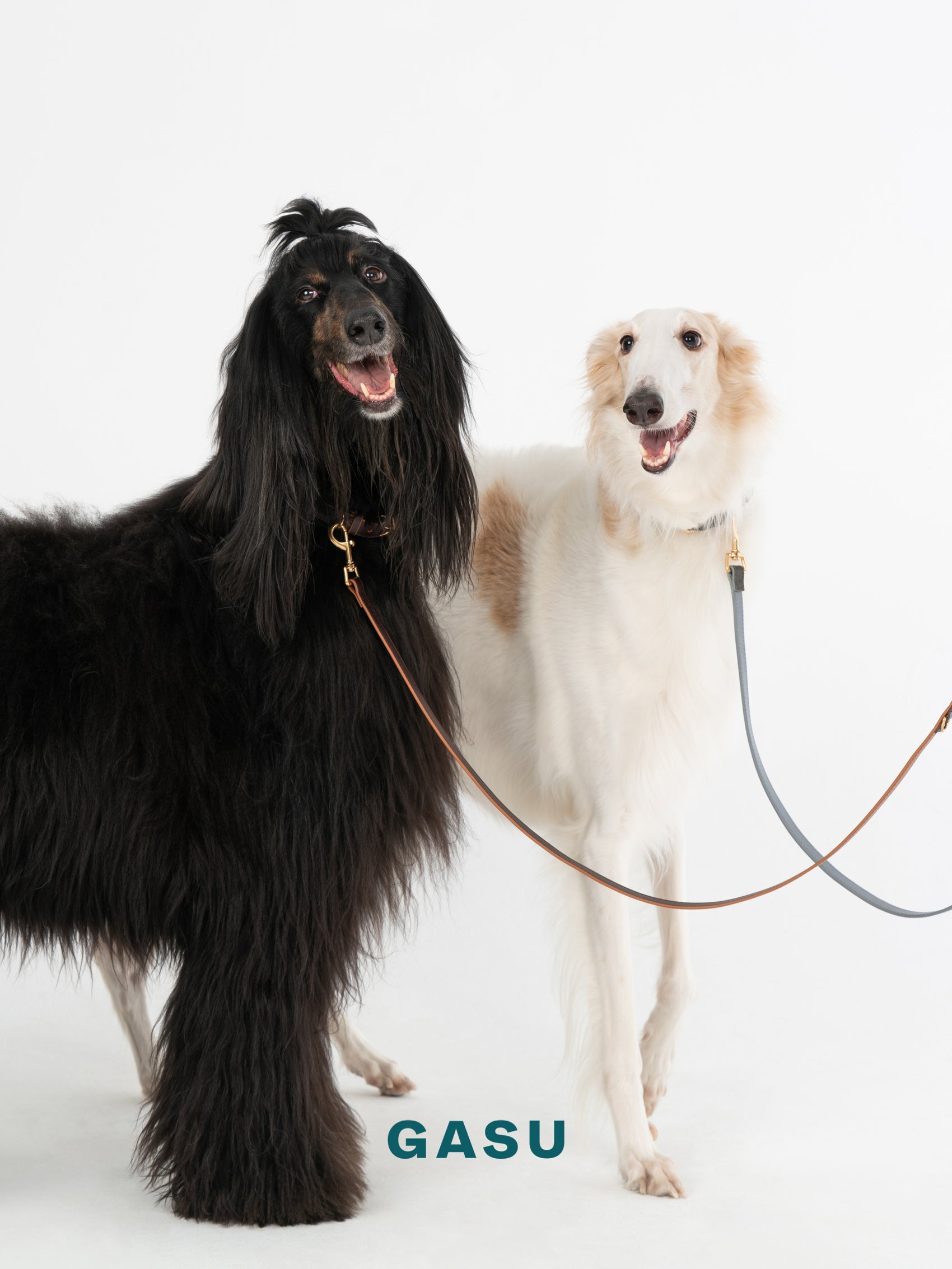GASU Palette / [Leash] Leather Dog Leash