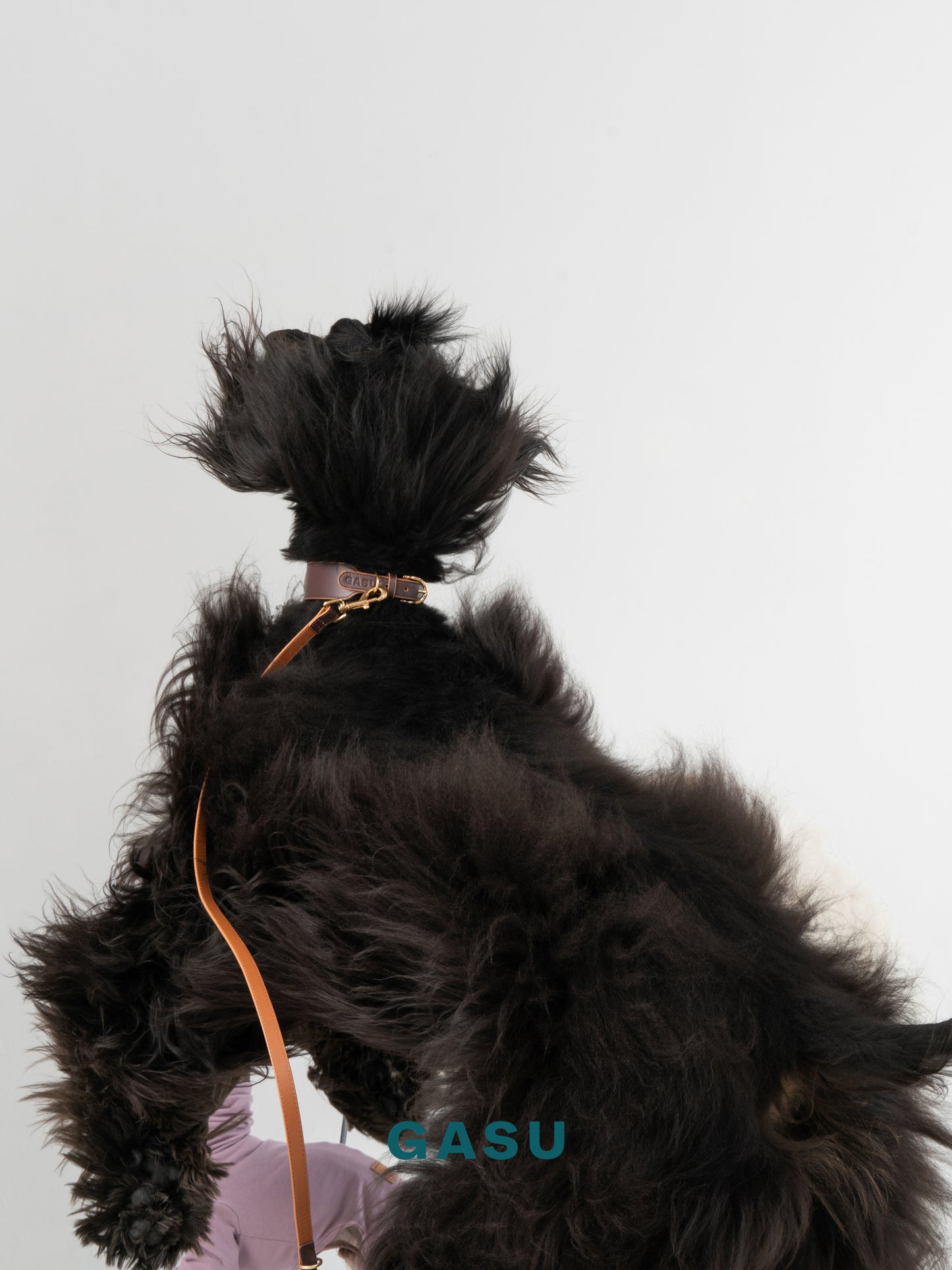 GASU Palette / [3.8cm Collar] Leather Dog Collar