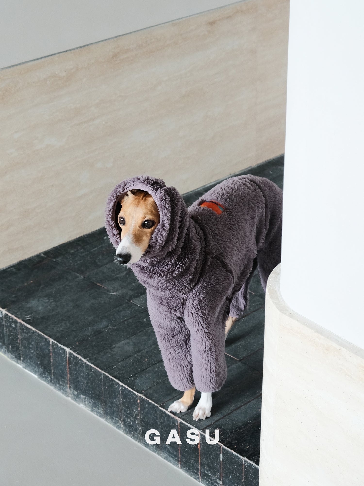 GASU Secret / [Raisin] 2-Sided Permanent Anti-static Fabric 4-Leg Fleece Technologically Warming Jumpsuit